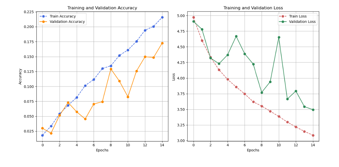Training and Validation Results - Custom CNN