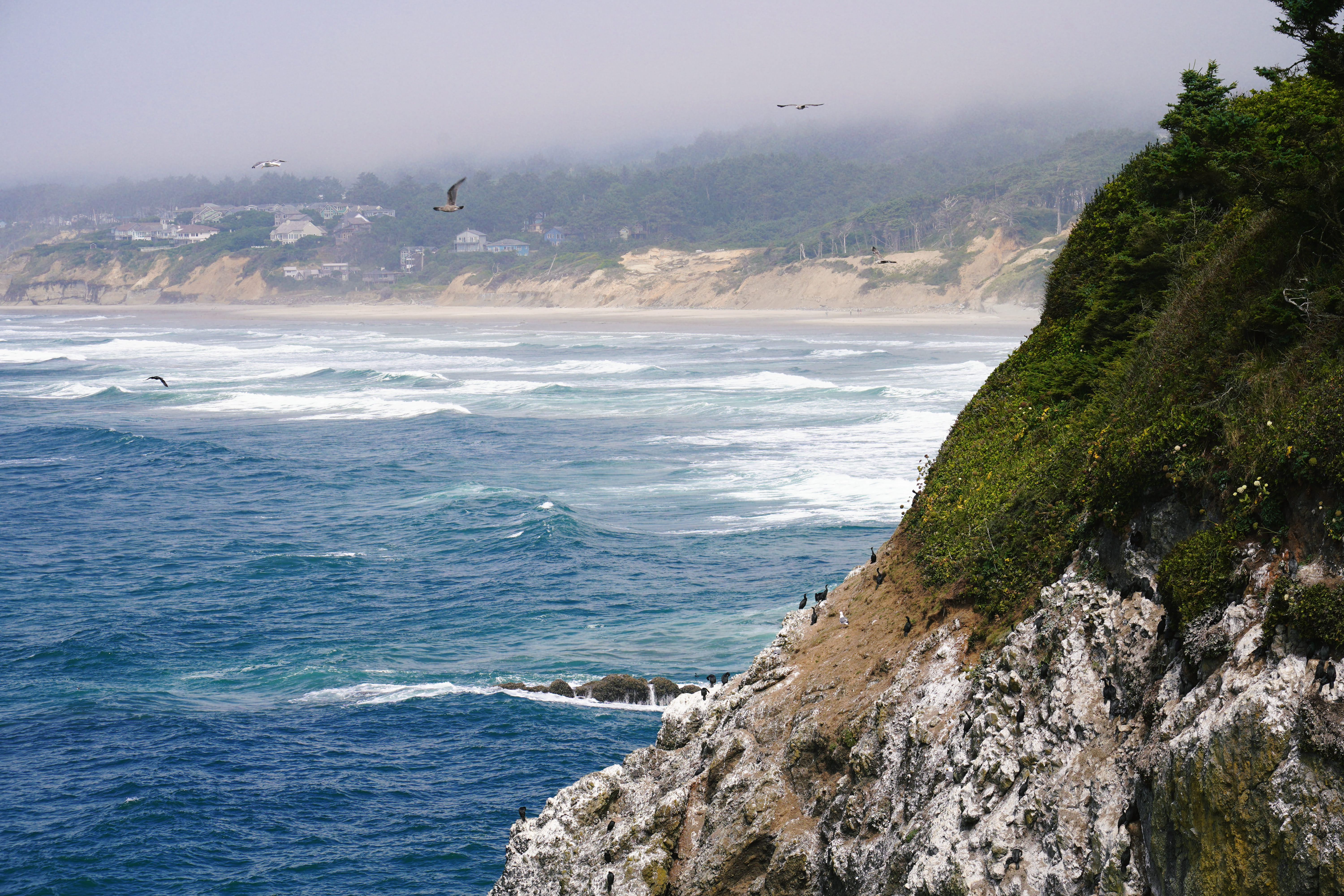 Highway 101 Coastal Road 10
