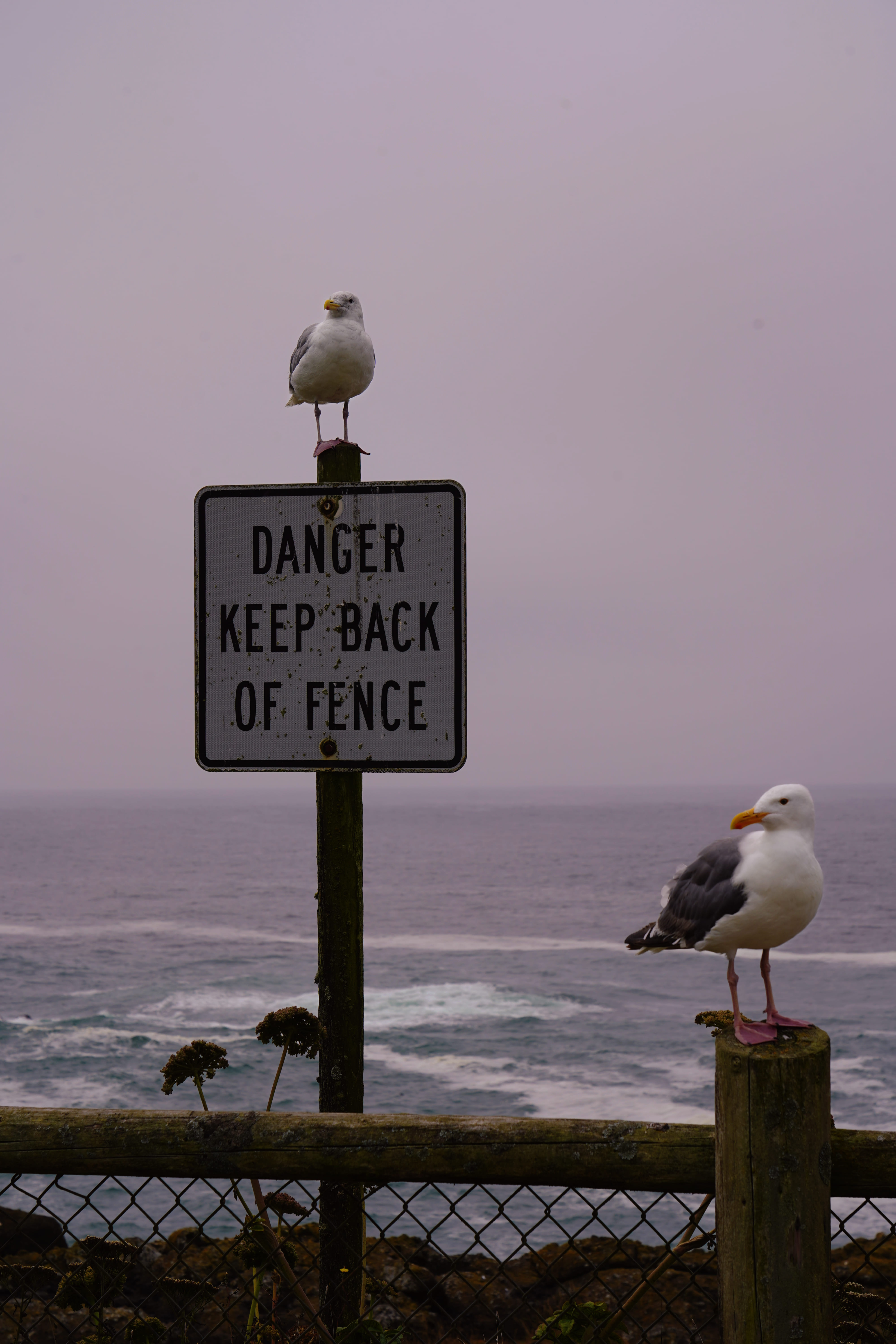 Highway 101 Coastal Road 2