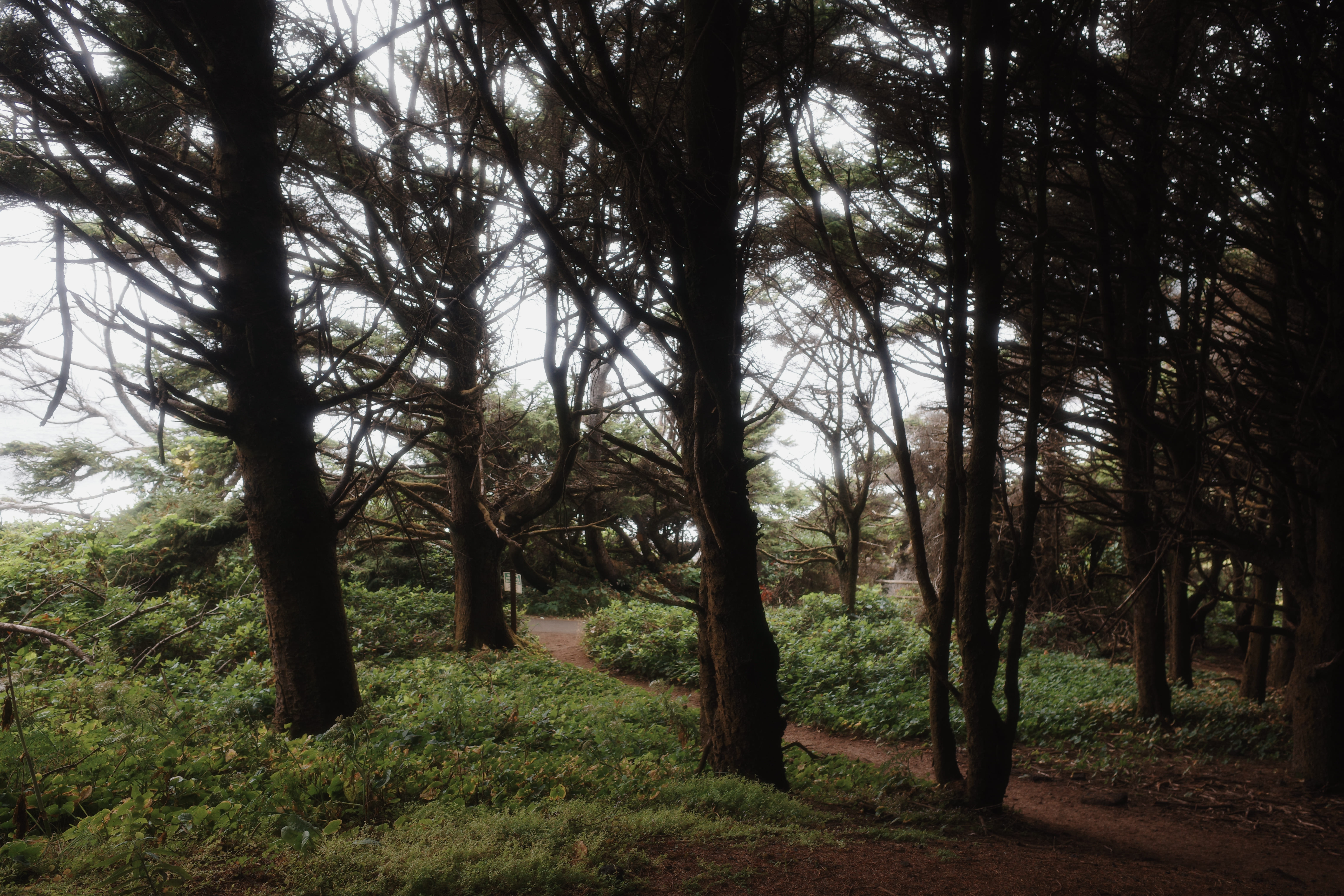 Highway 101 Coastal Road 3