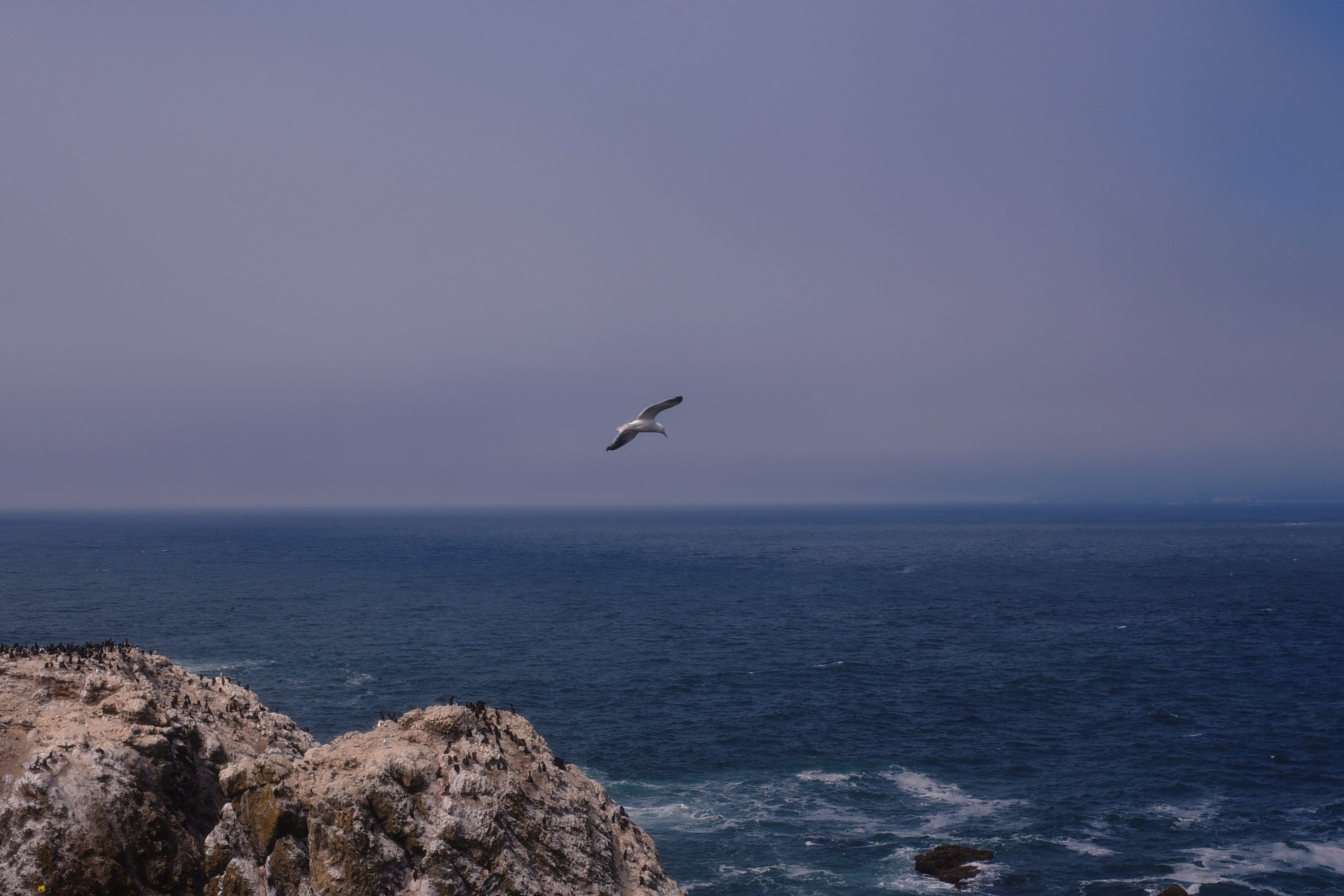 Highway 101 Coastal Road 5