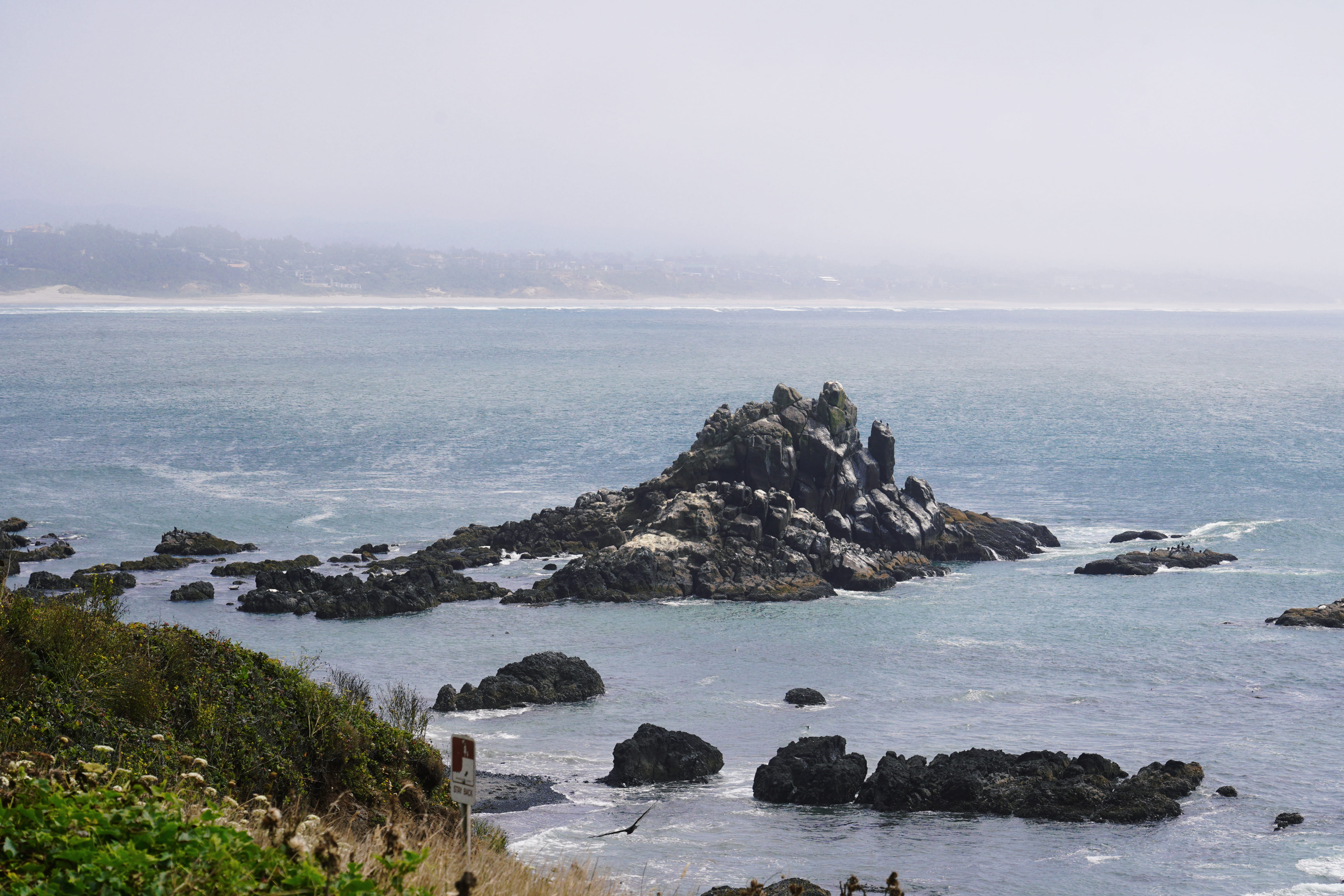 Highway 101 Coastal Road 9