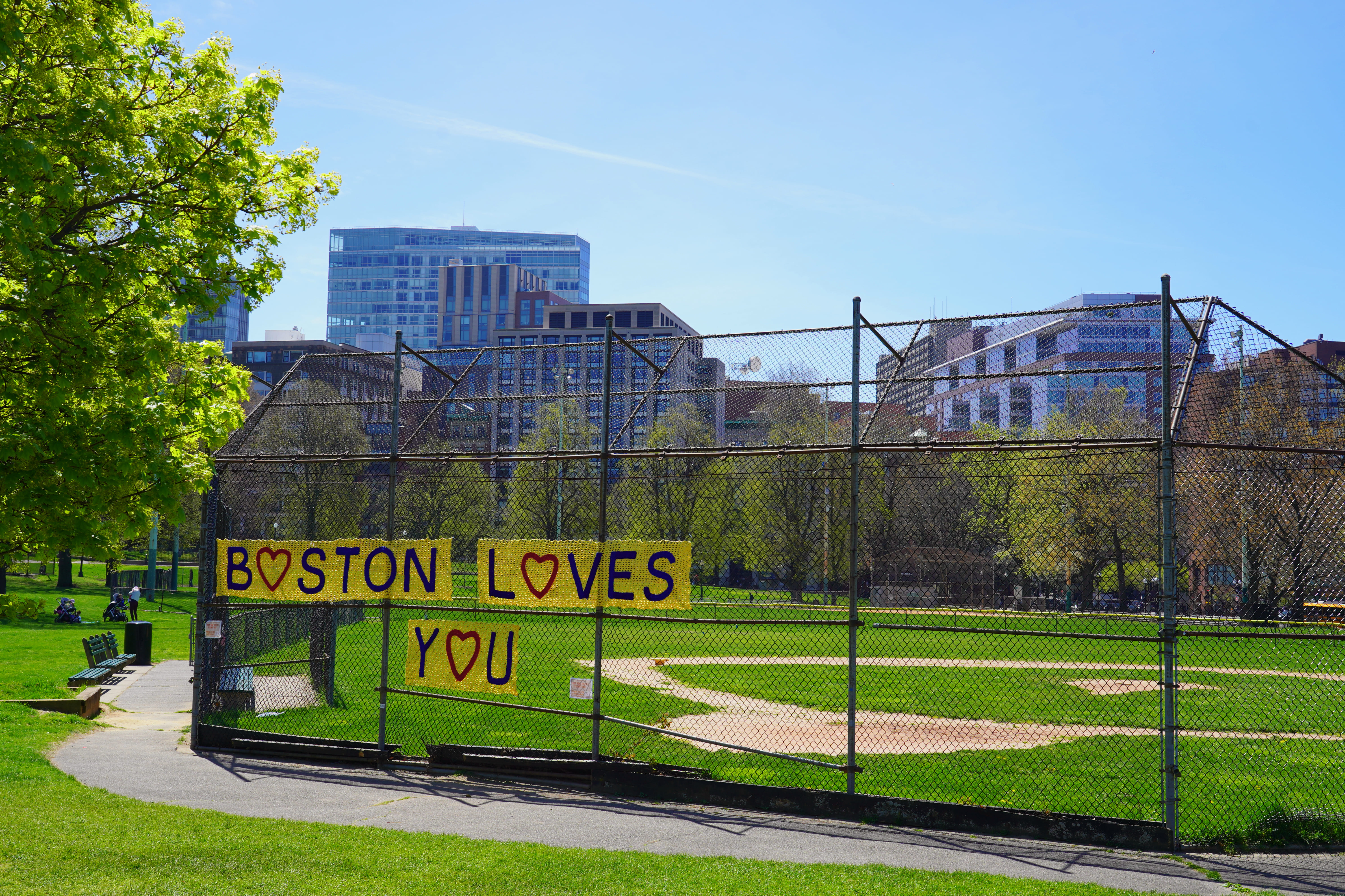 Spring in Boston Common 1
