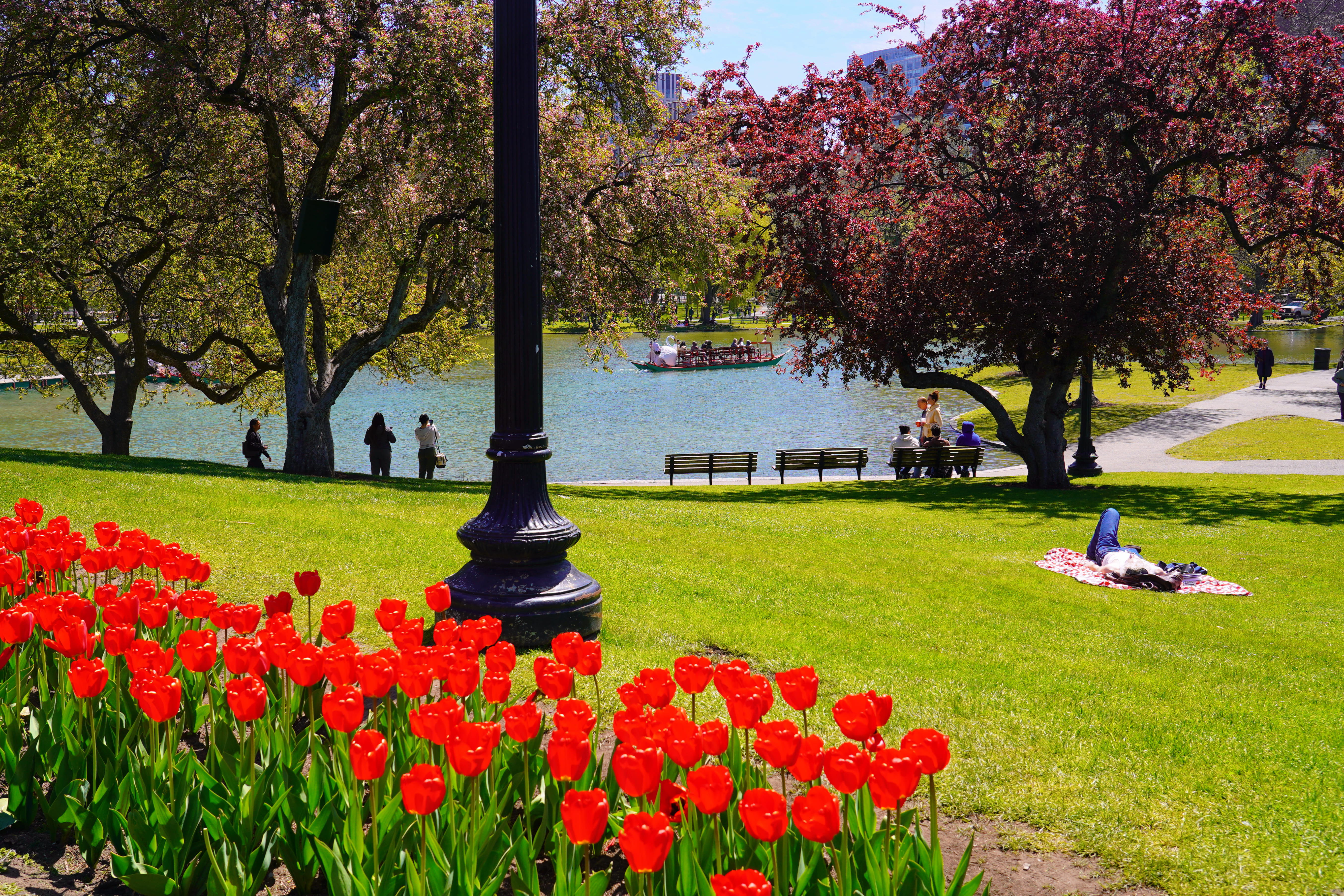 Spring in Boston Common 14