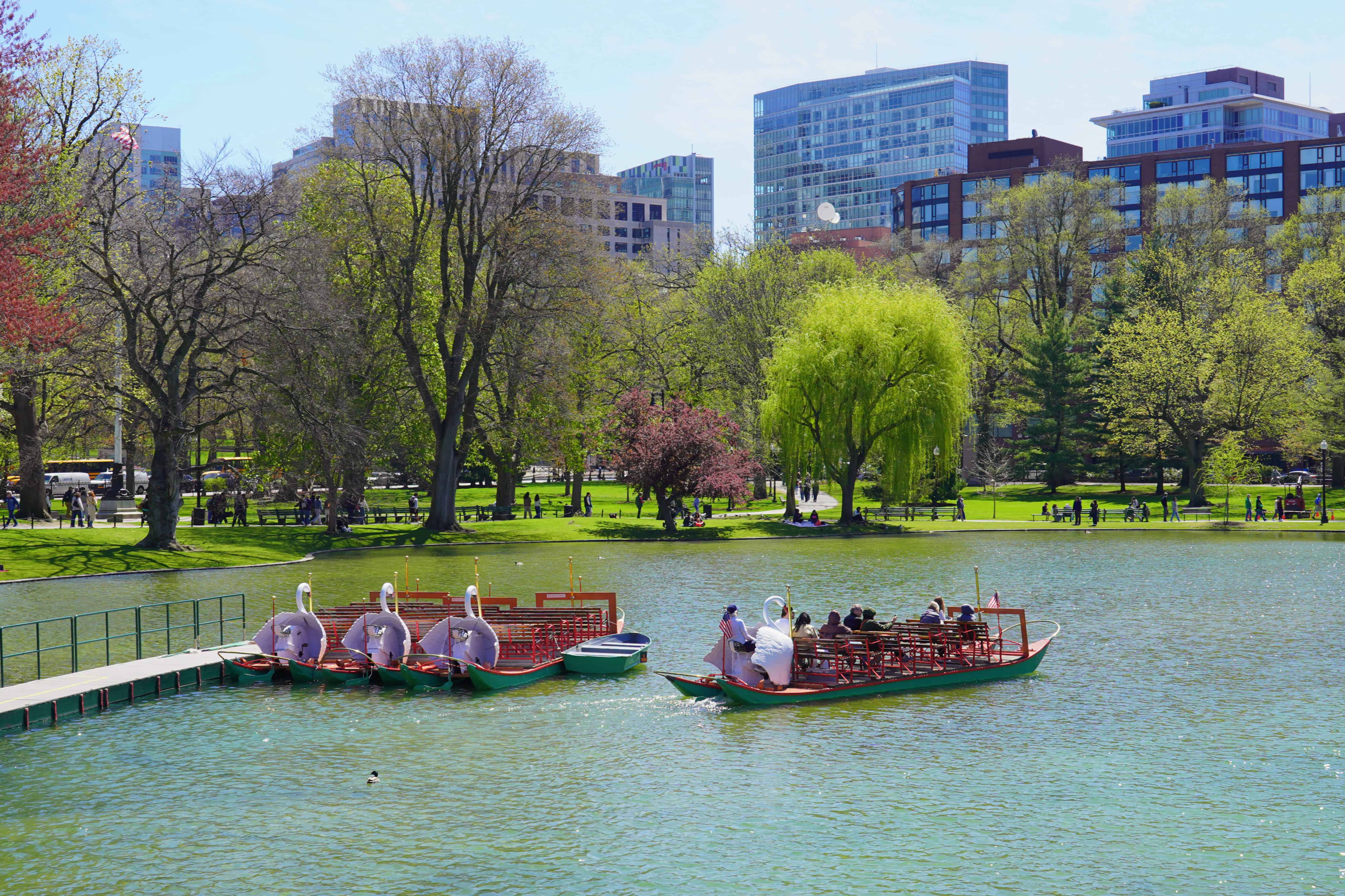 Spring in Boston Common 6