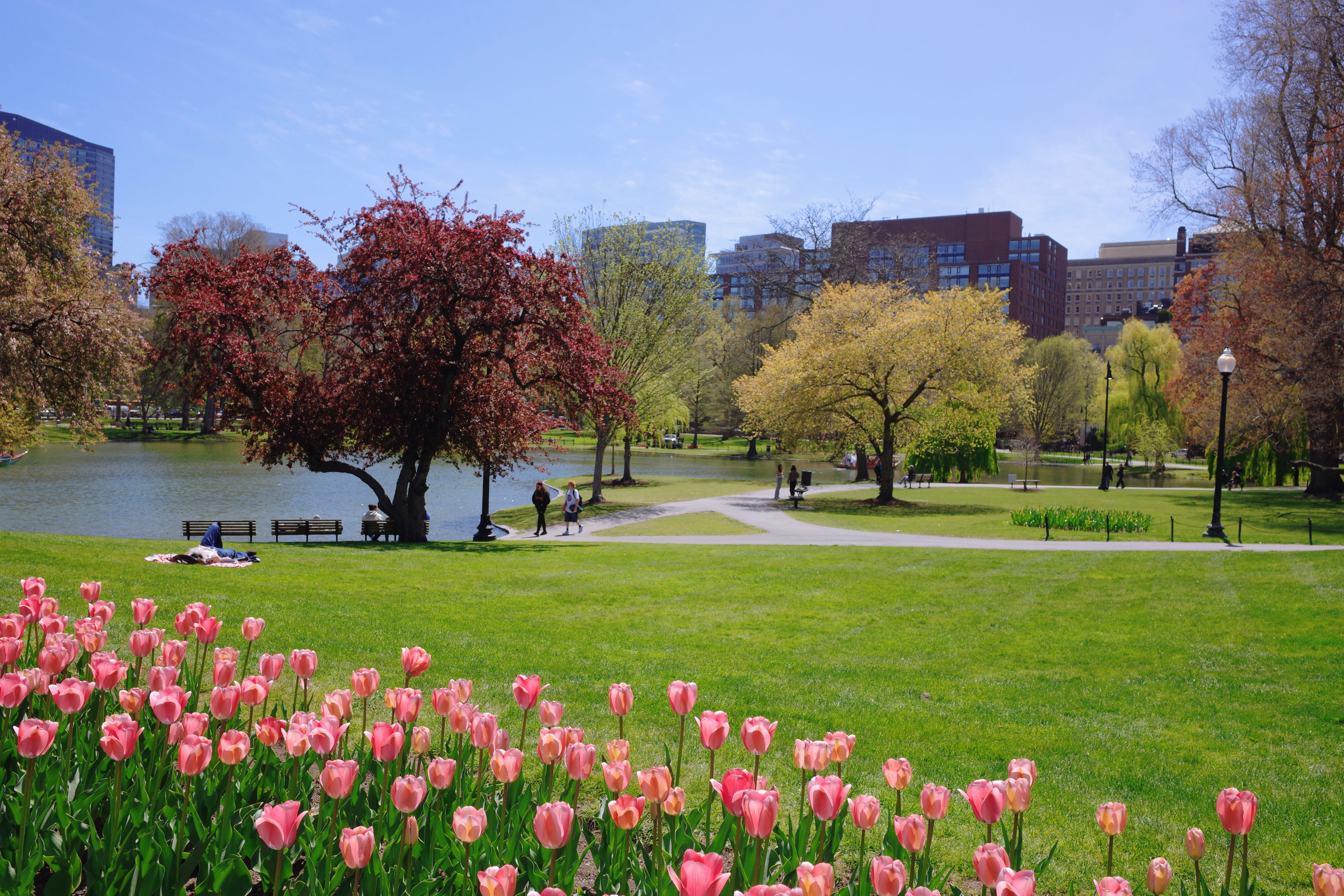 Boston Common (GR4) 2