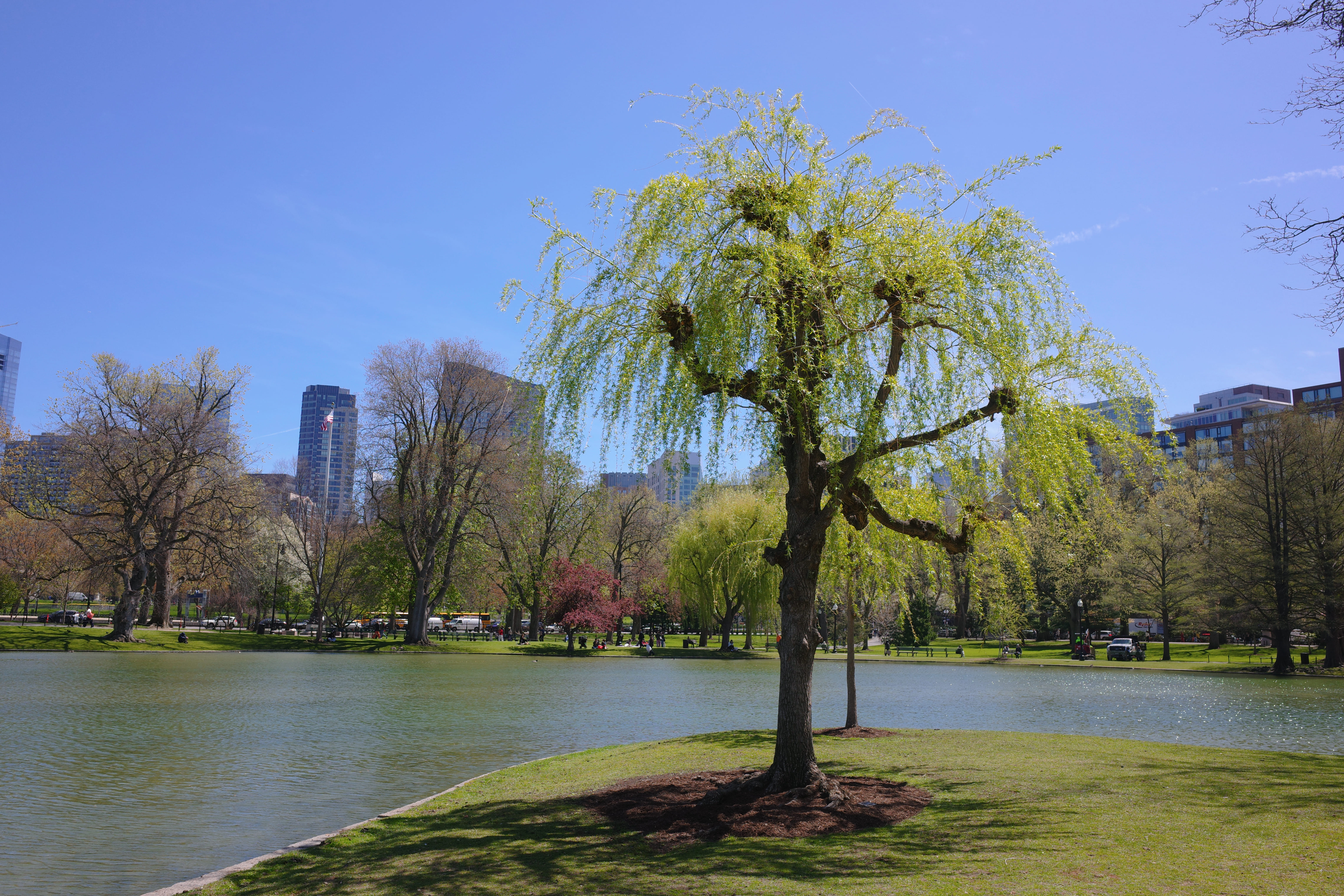 Boston Common (GR4) 3