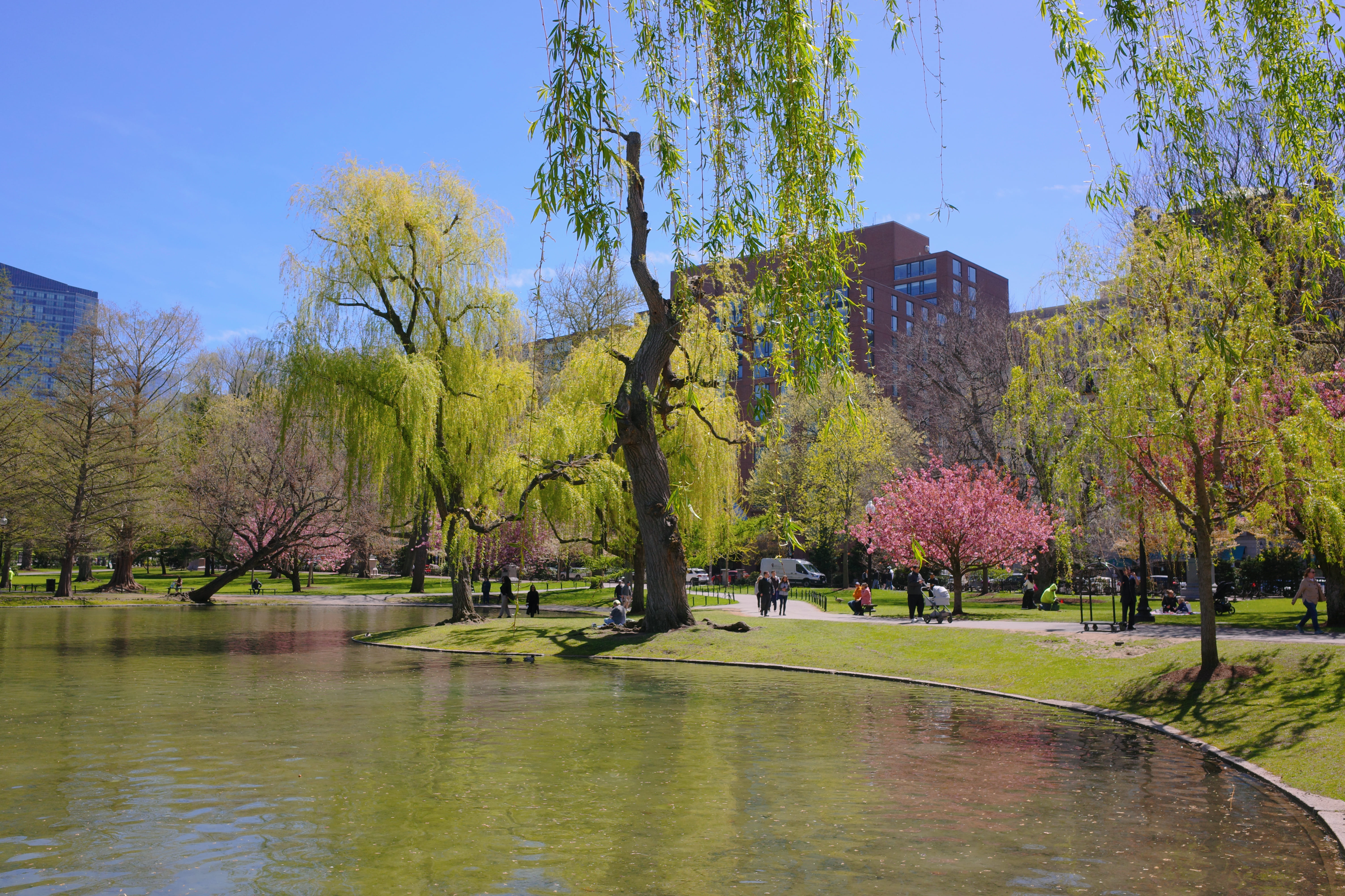 Boston Common (GR4) 5