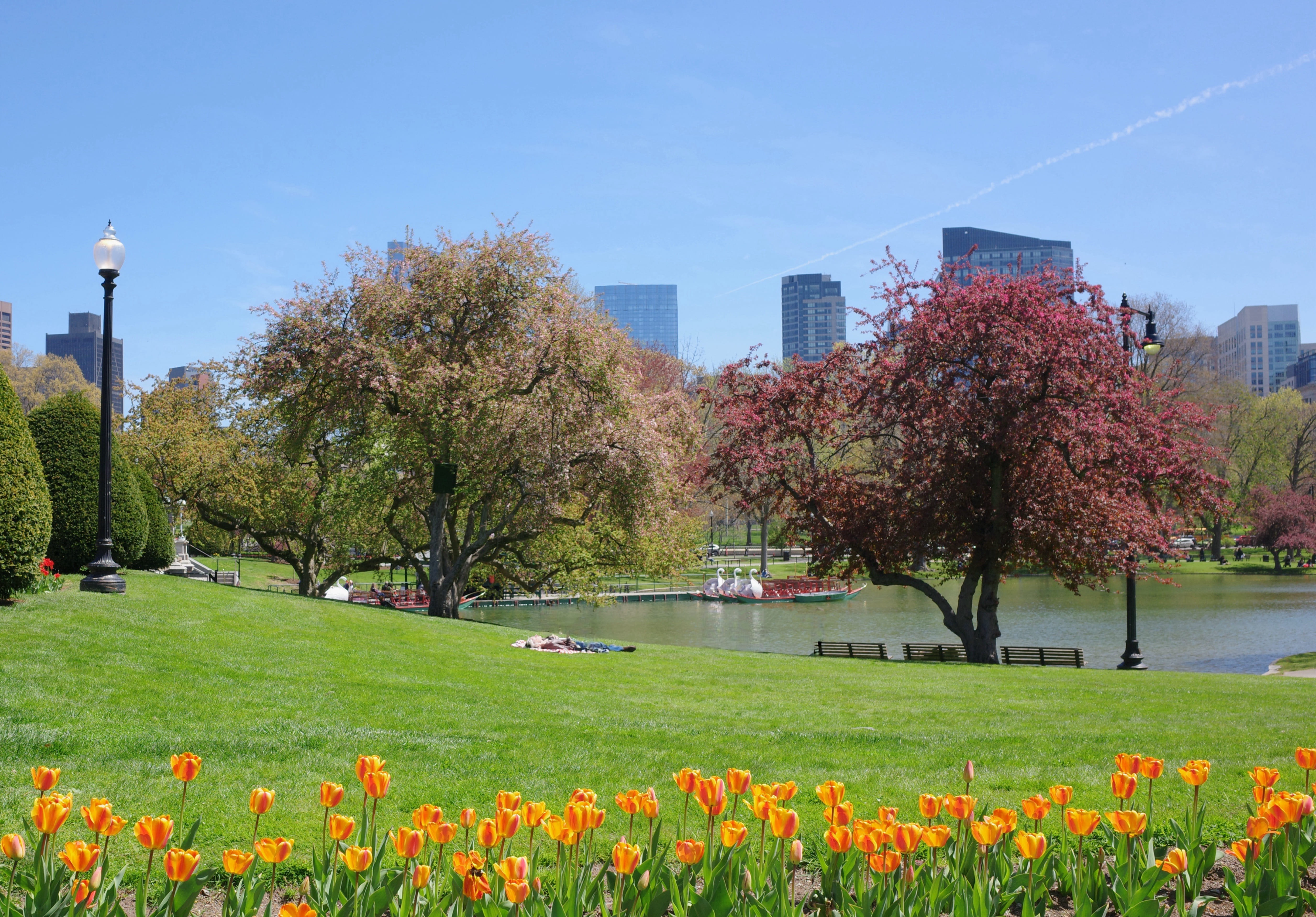 Boston Common (GR4) 8