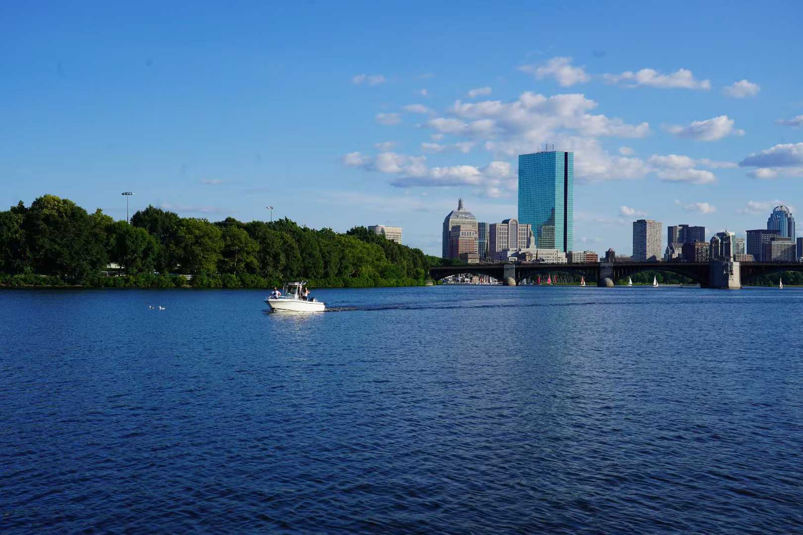 Summer in Boston 1