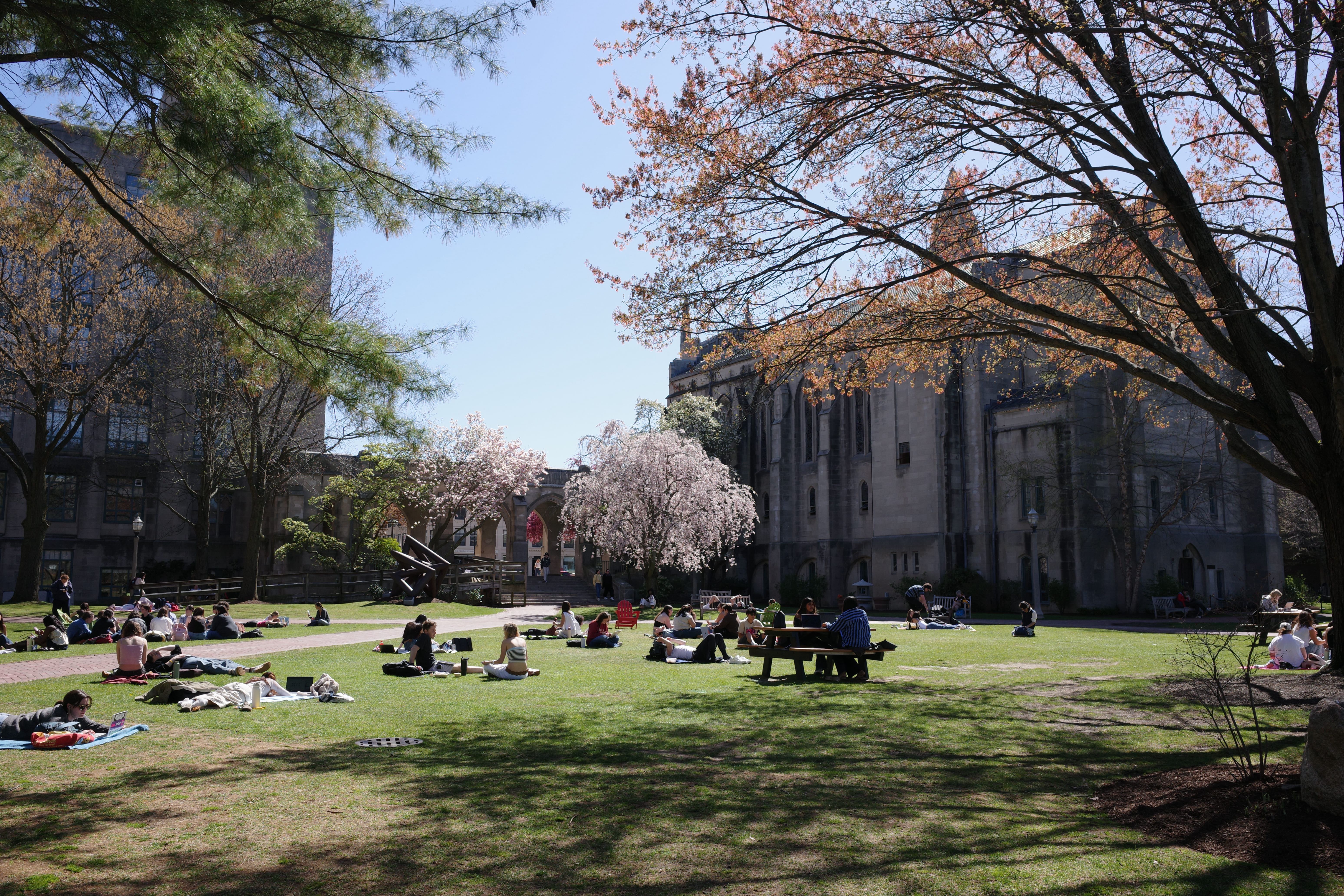 Spring on BU Campus 3