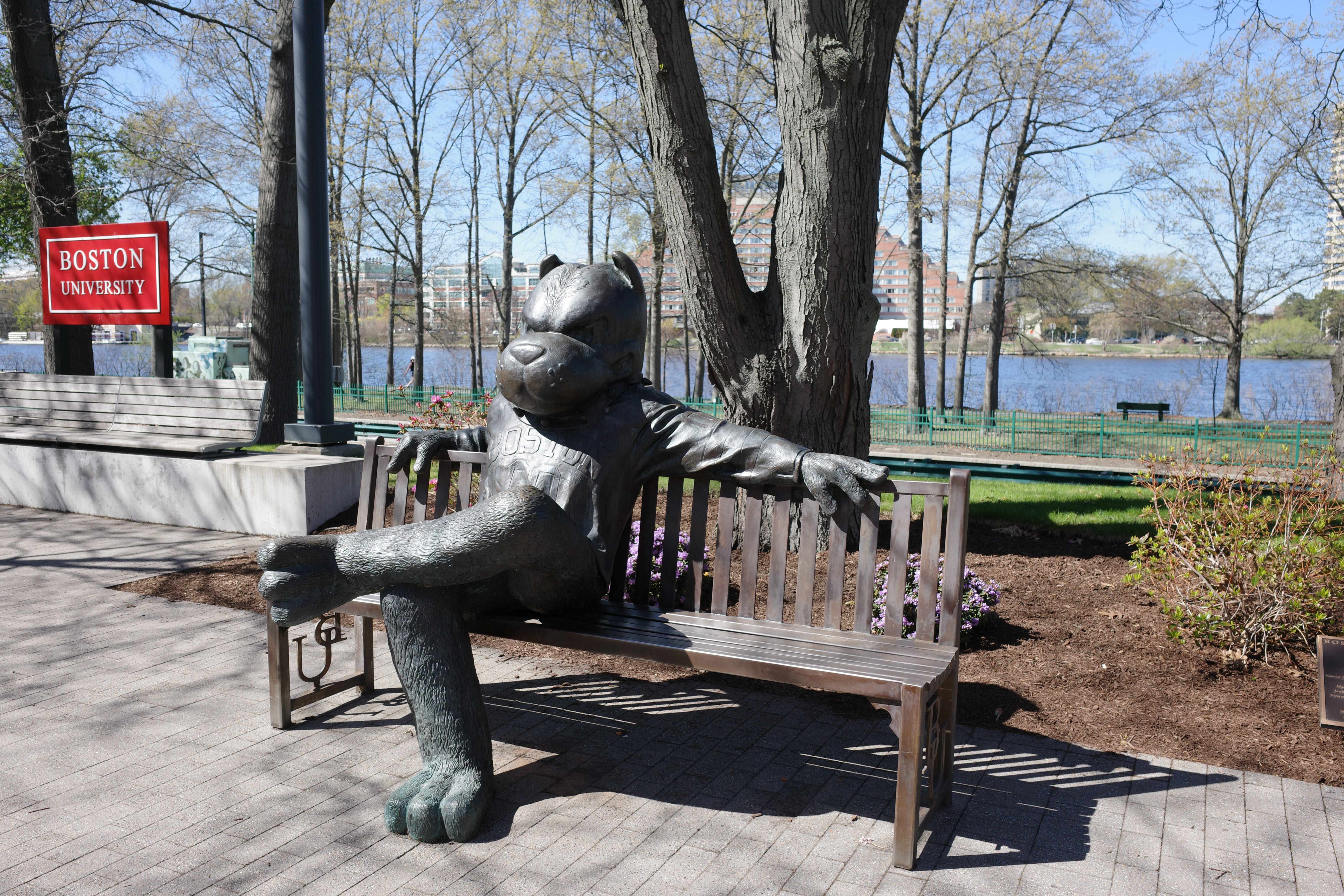 Spring on BU Campus 5