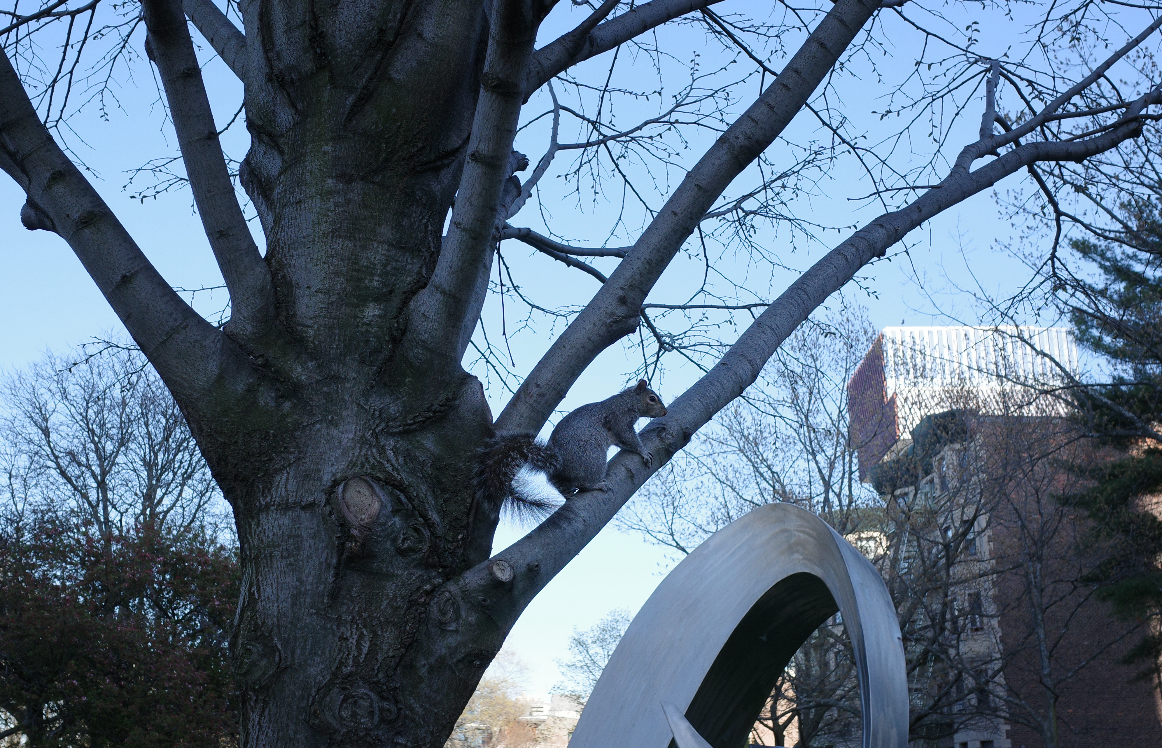 Spring on BU Campus 9