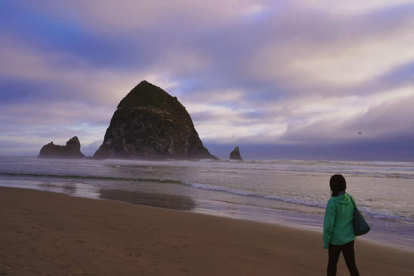 Cannon Beach 8