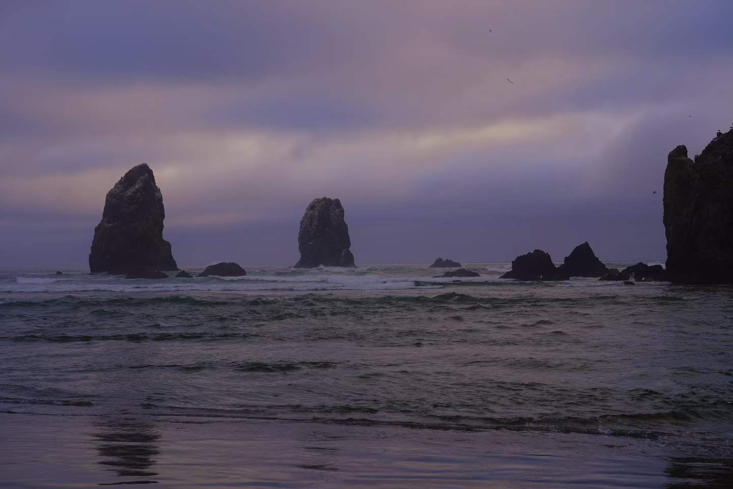 Cannon Beach 9