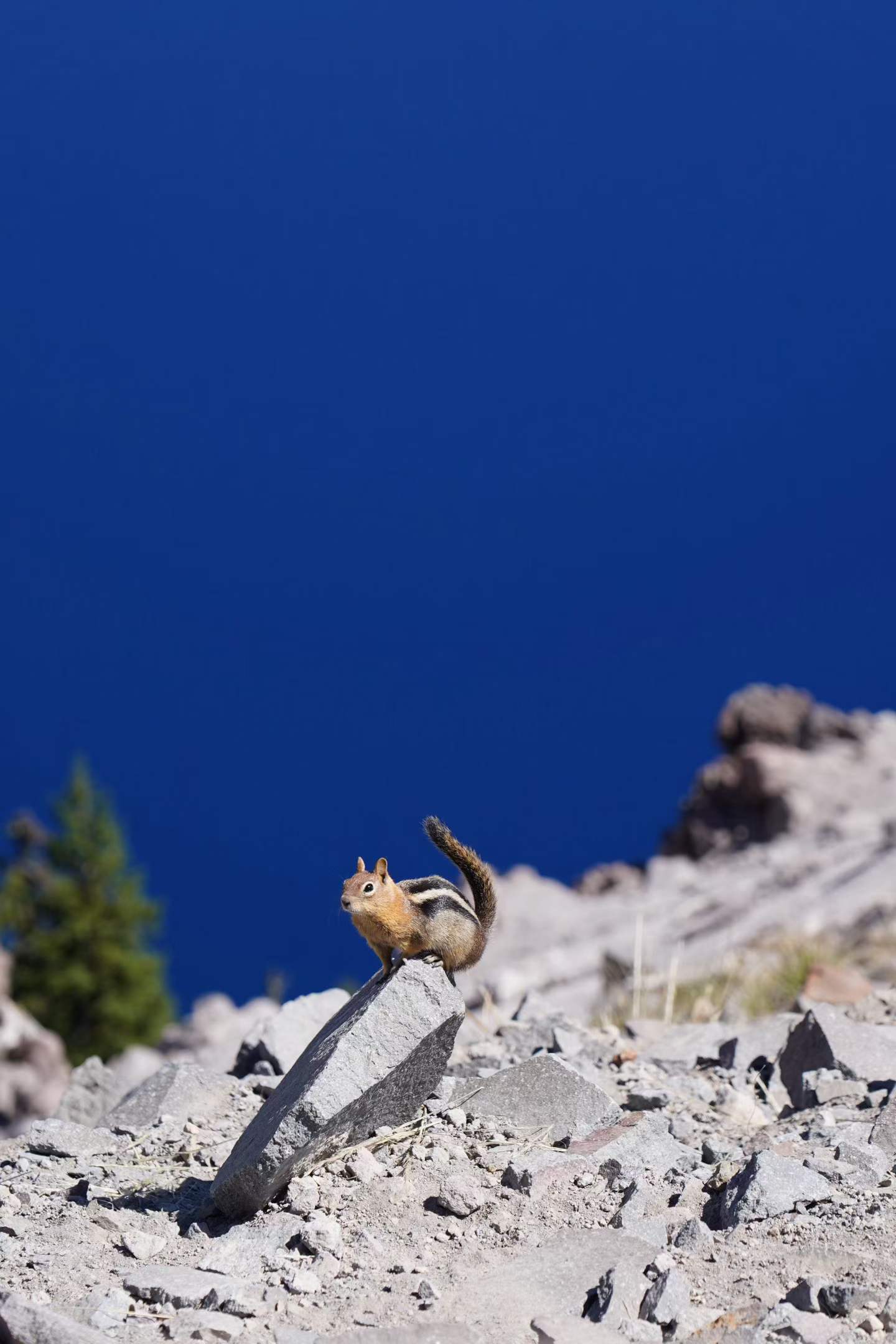 Crater Lake National Park 1