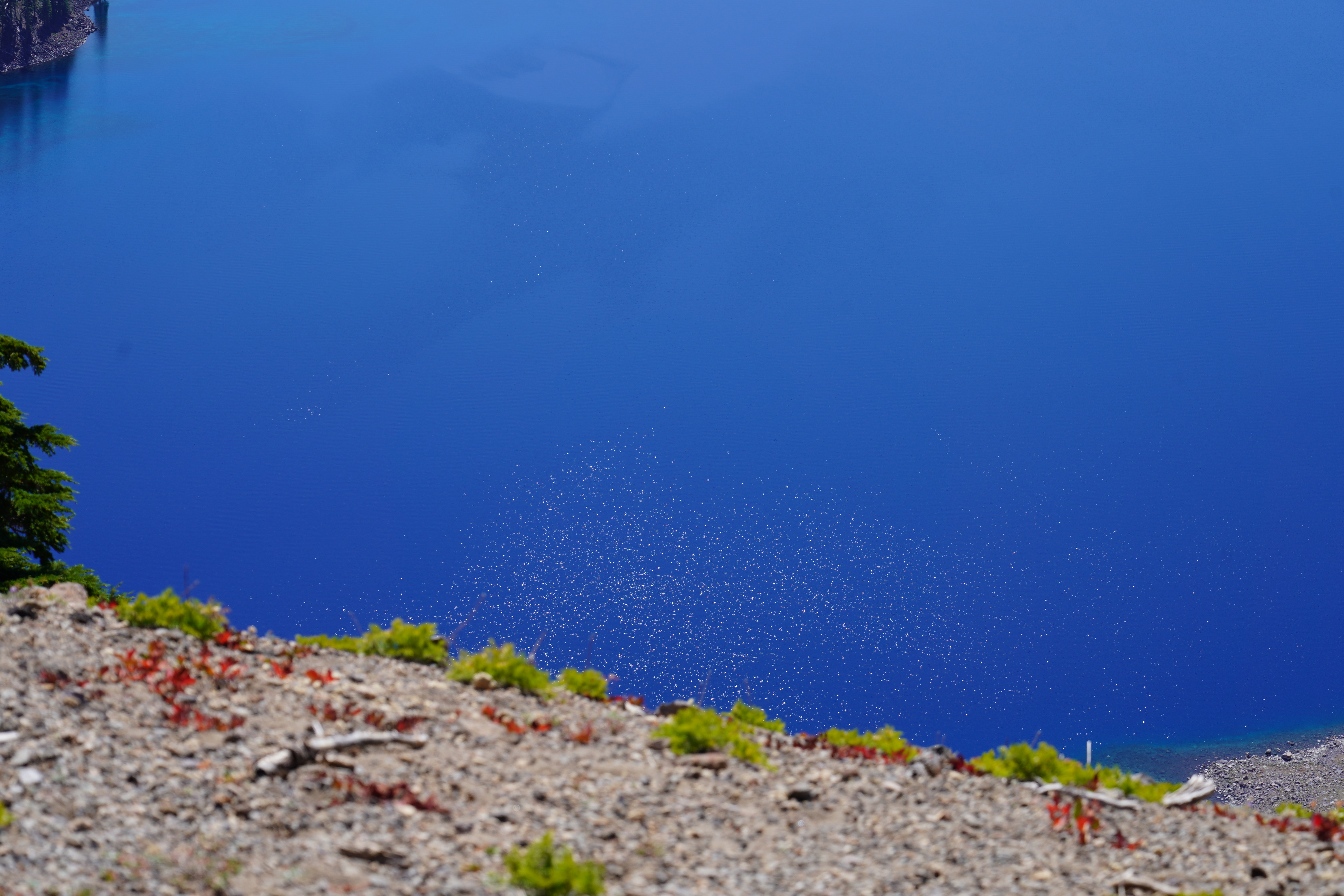 Crater Lake National Park 11