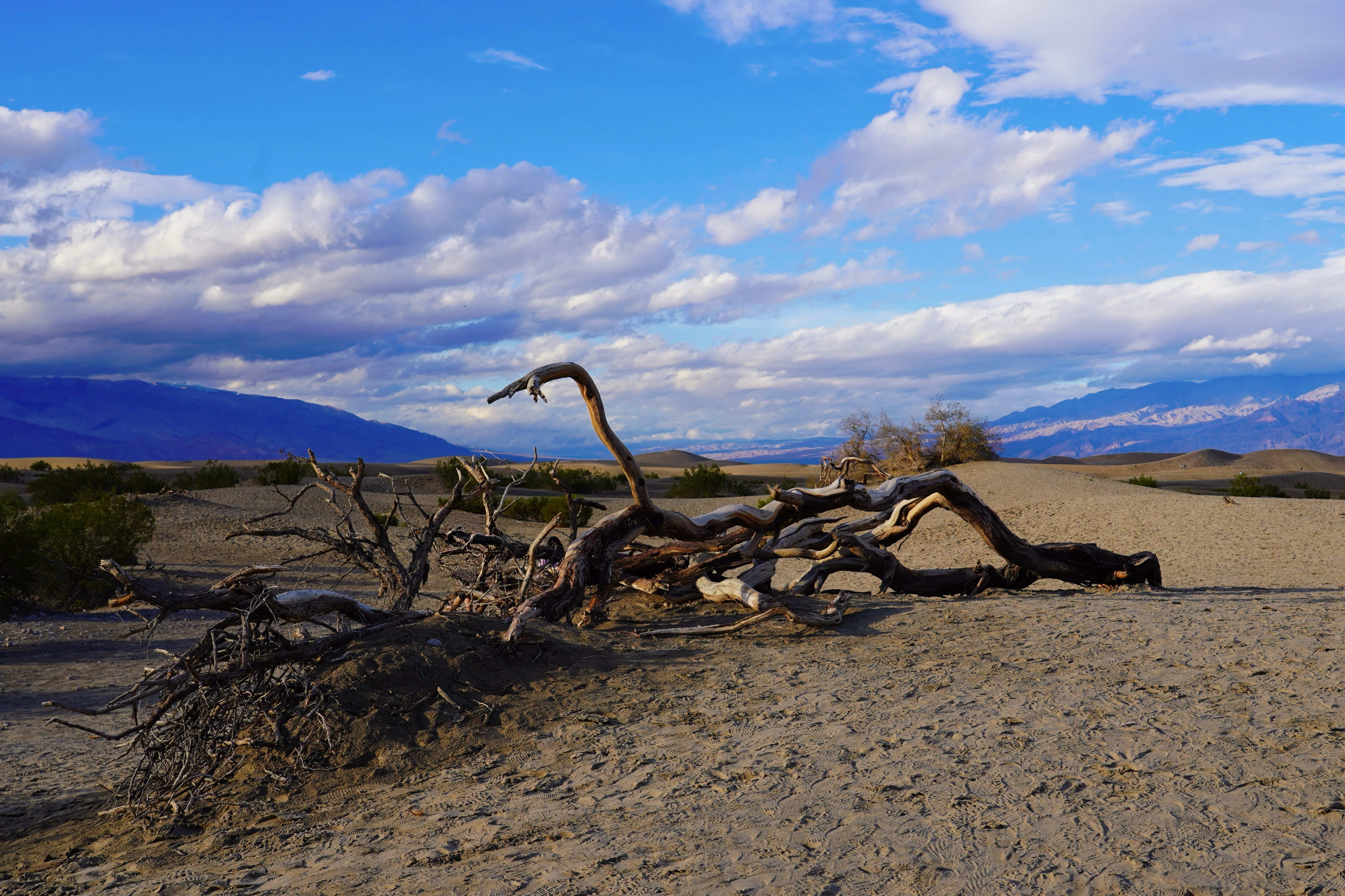 Death Valley 13