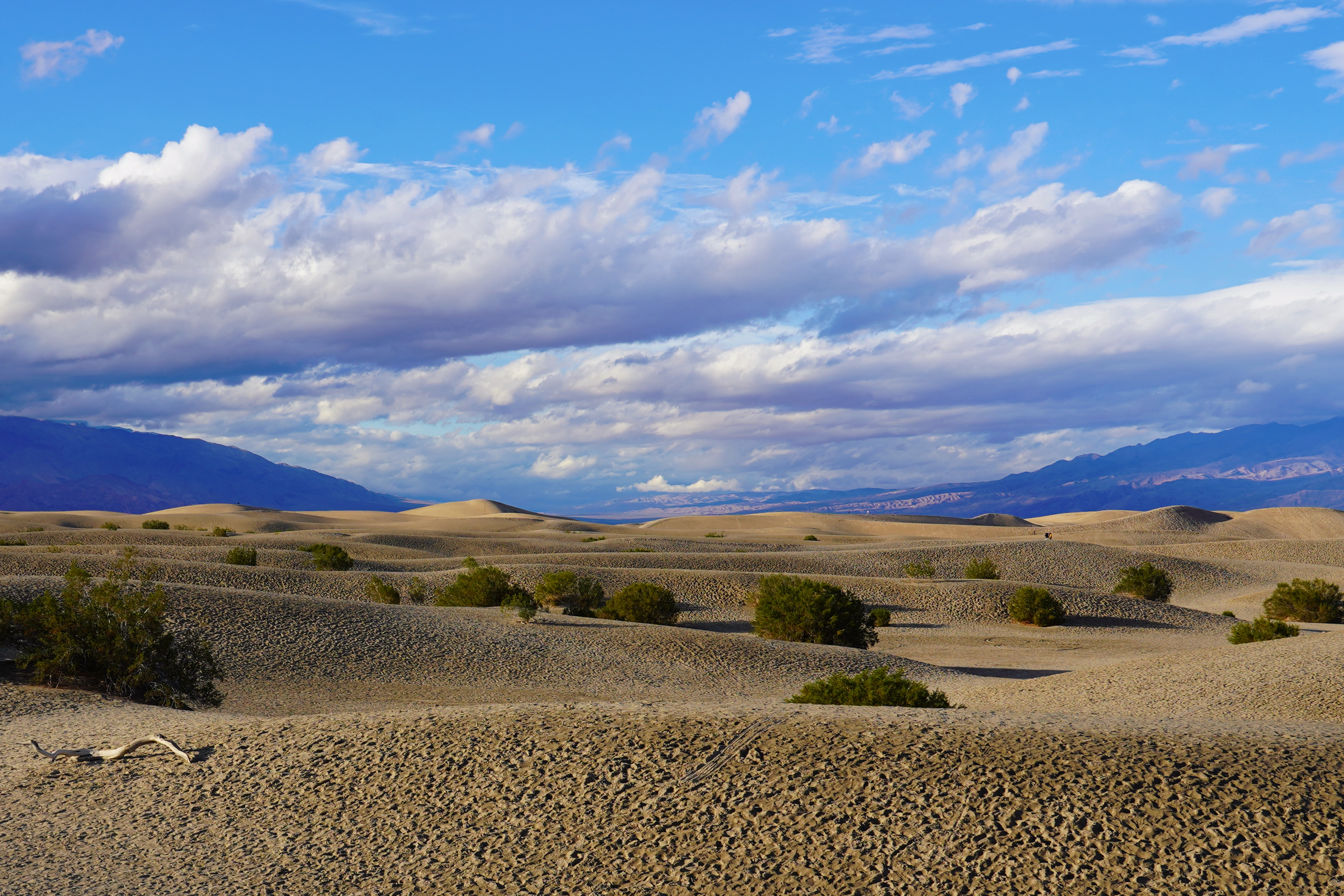 Death Valley 14
