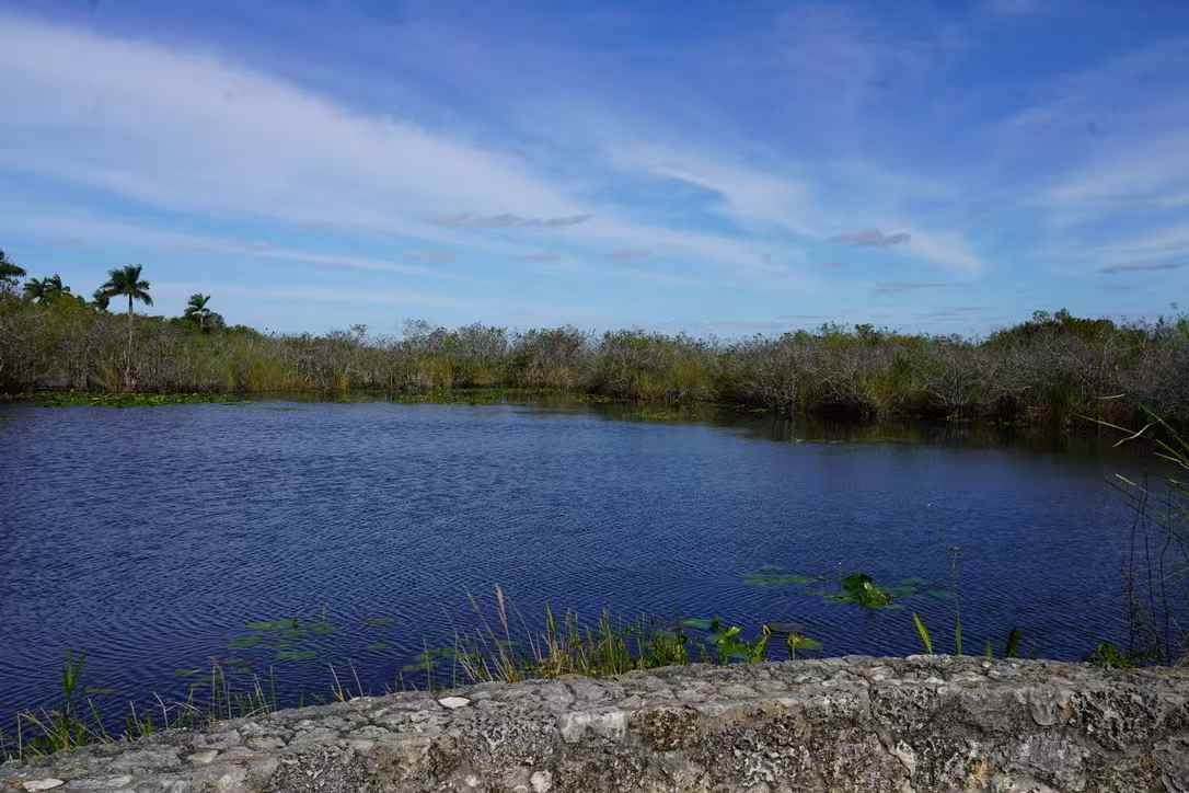 Everglades 10