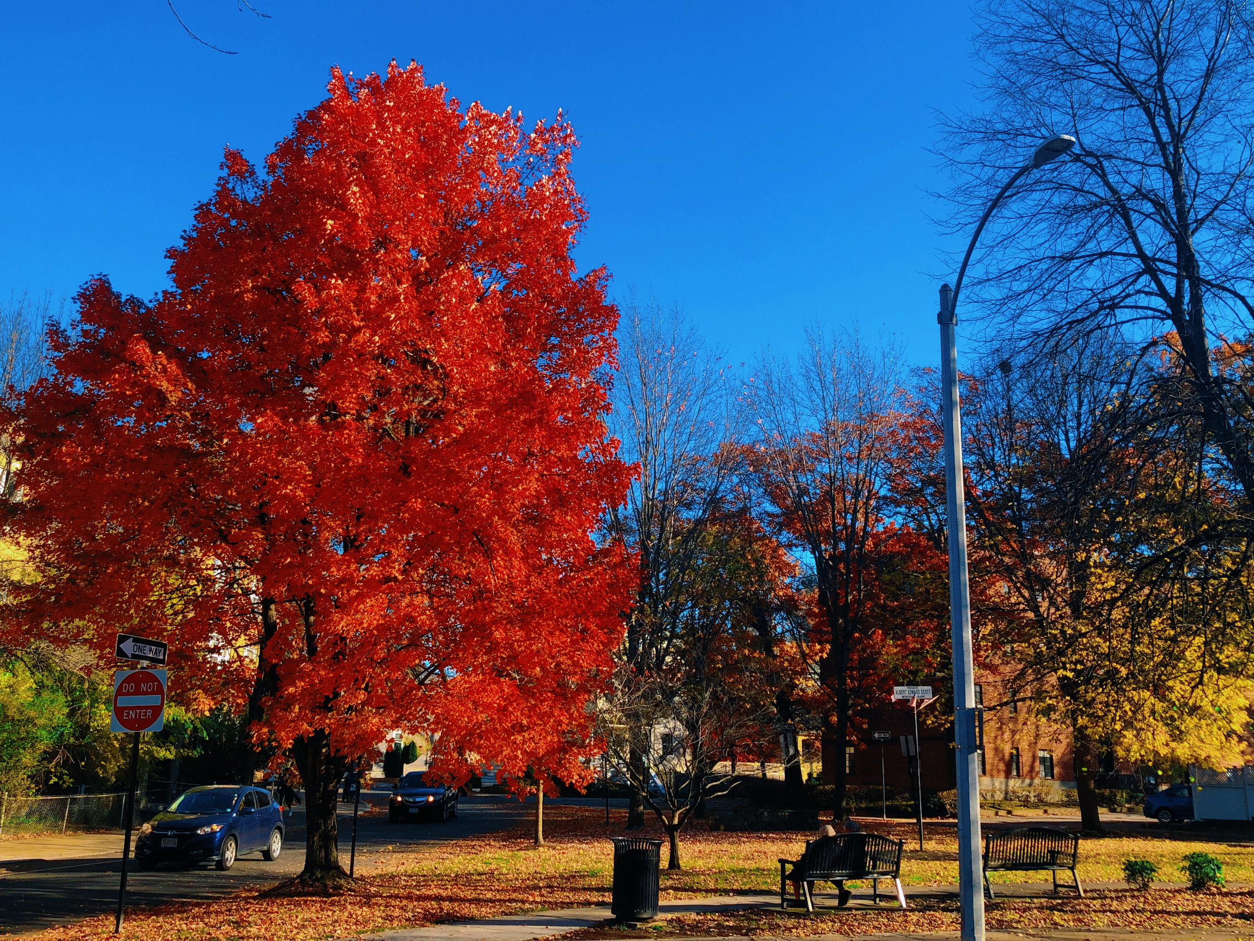 Fall in Boston 8