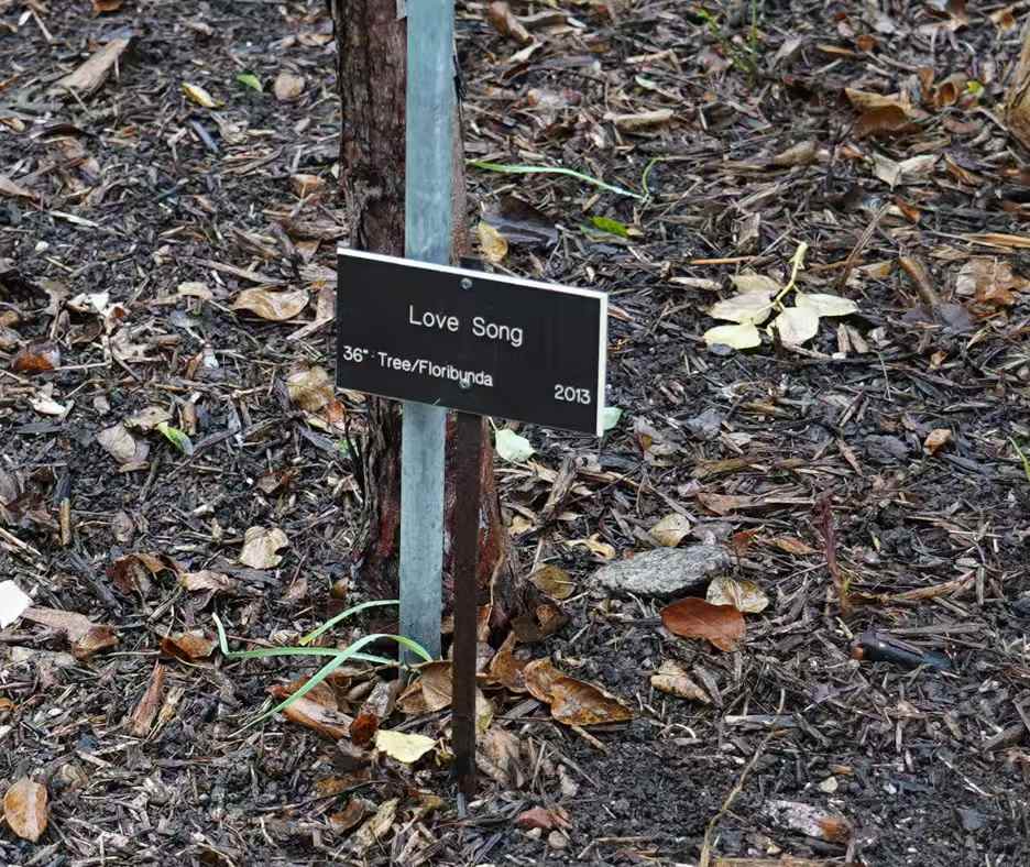 Huntington Library 10