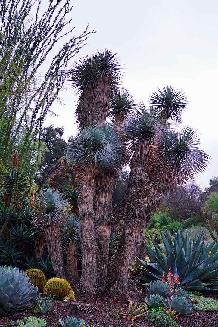 Huntington Library 11