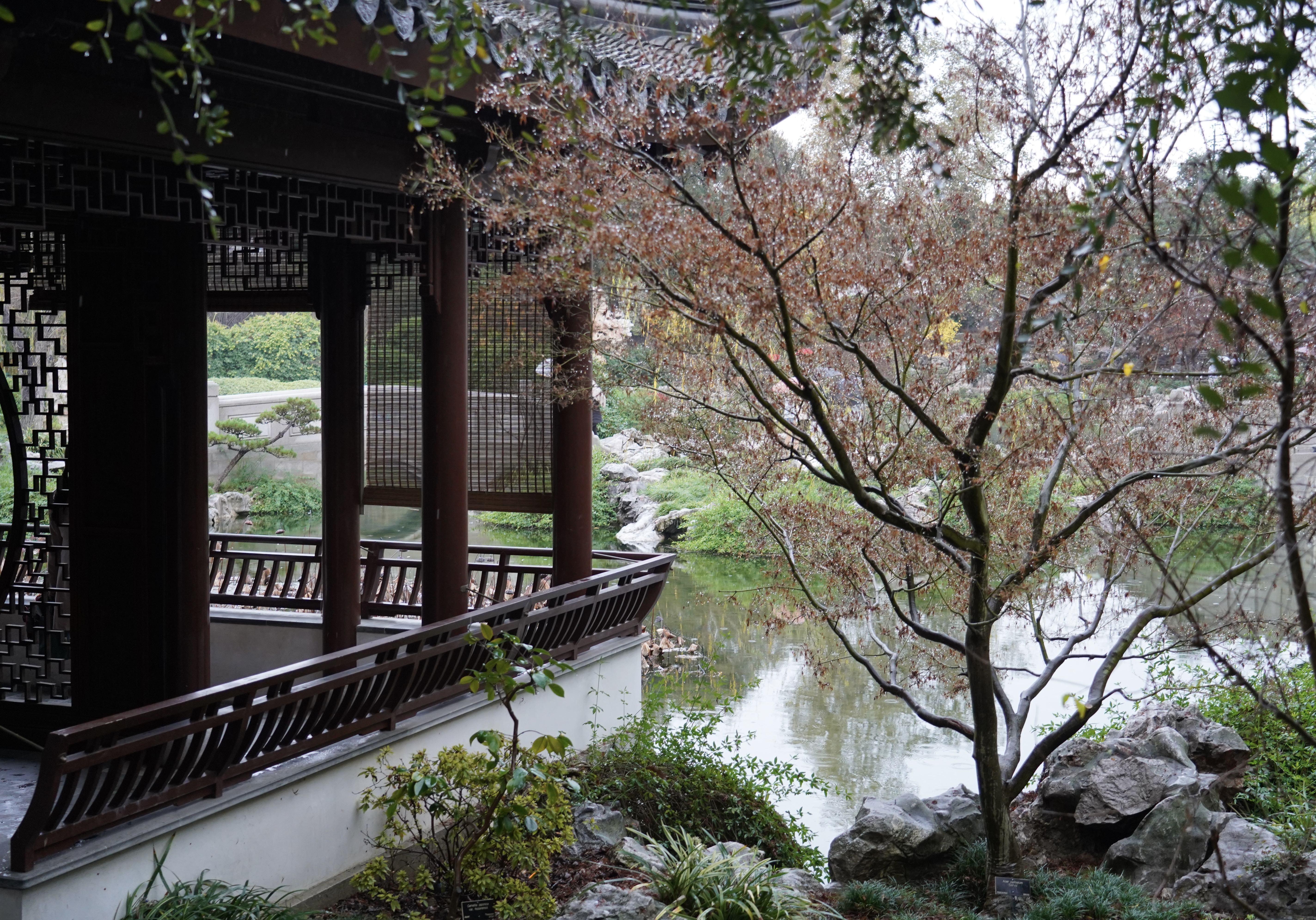 Huntington Library 12