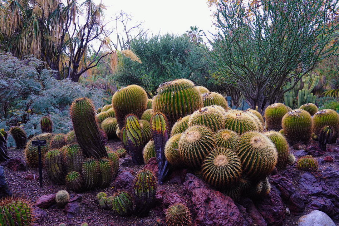 Huntington Library 14