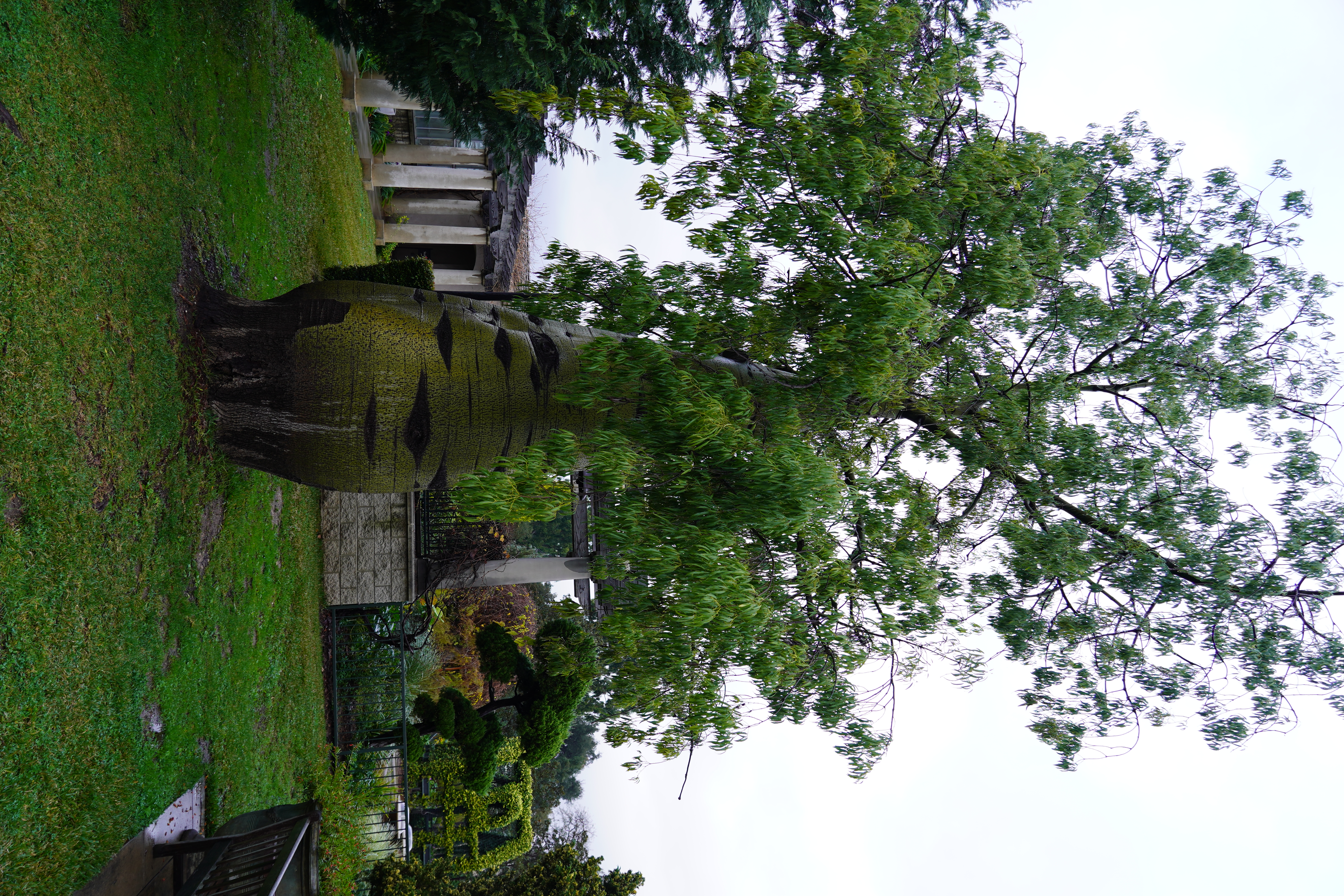 Huntington Library 16