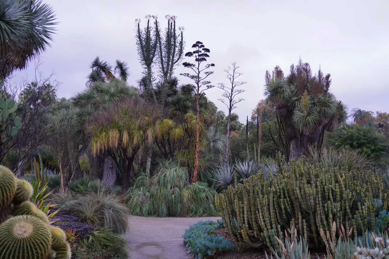 Huntington Library 9