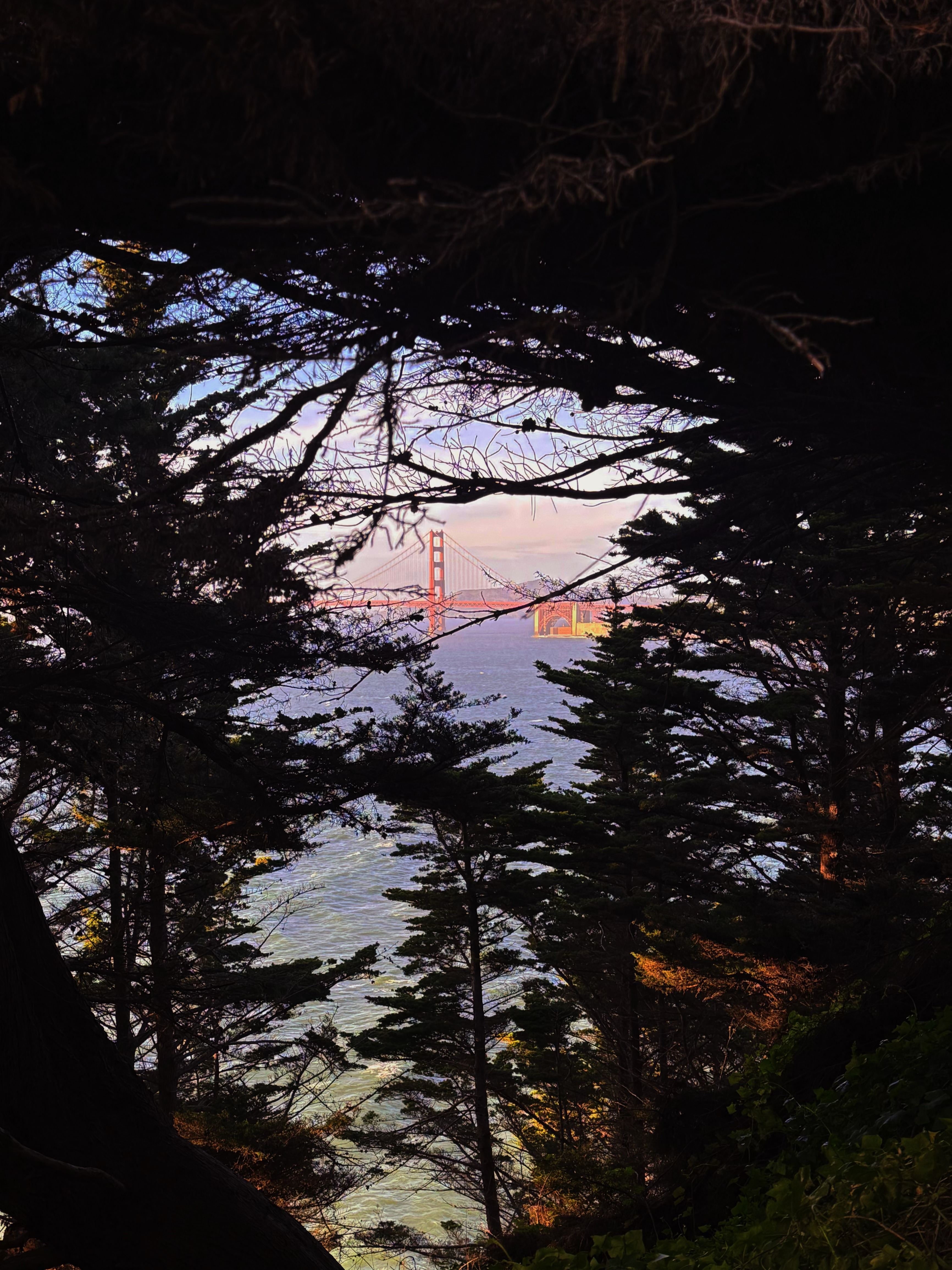 Lands End Trail 11