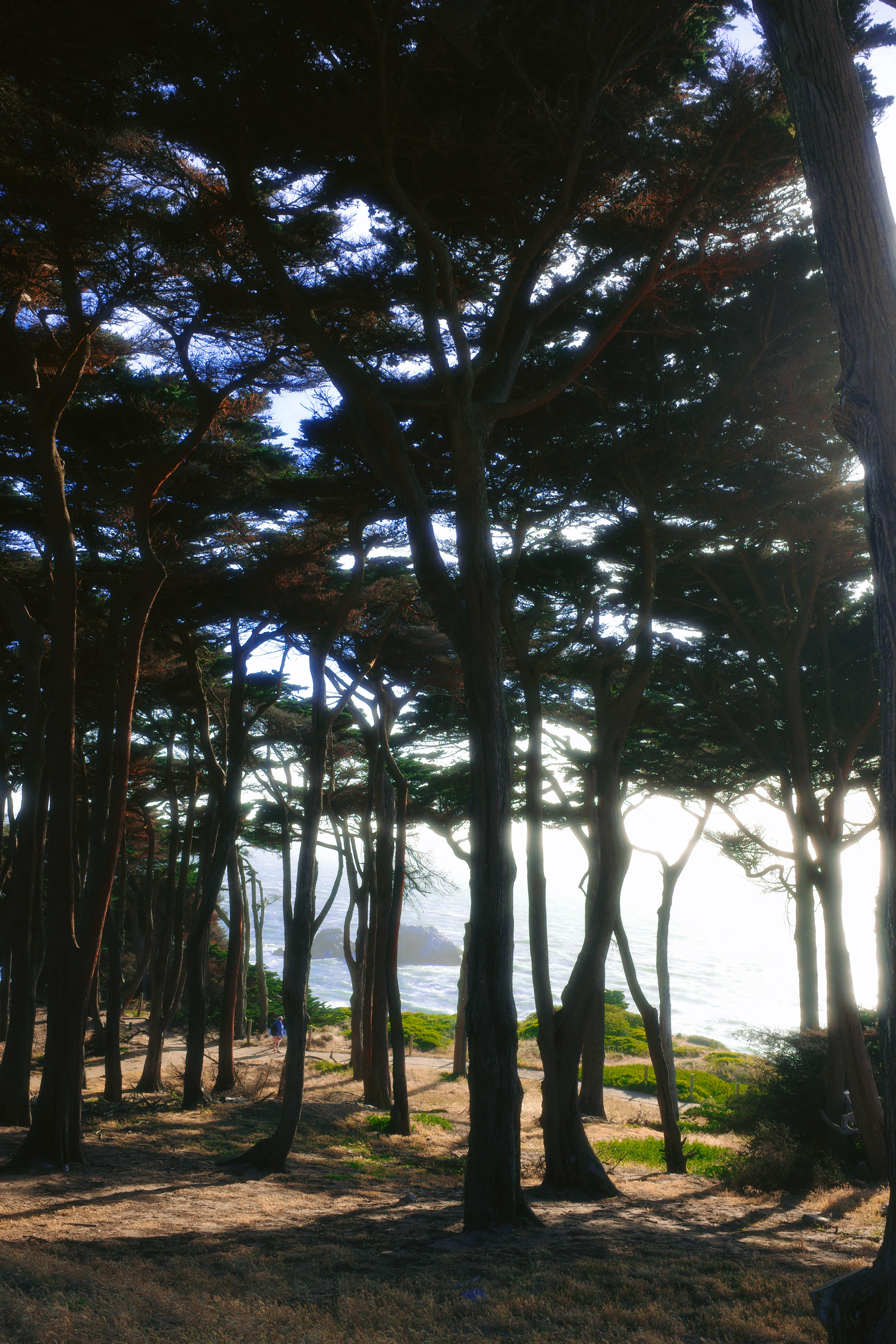Lands End Trail 15