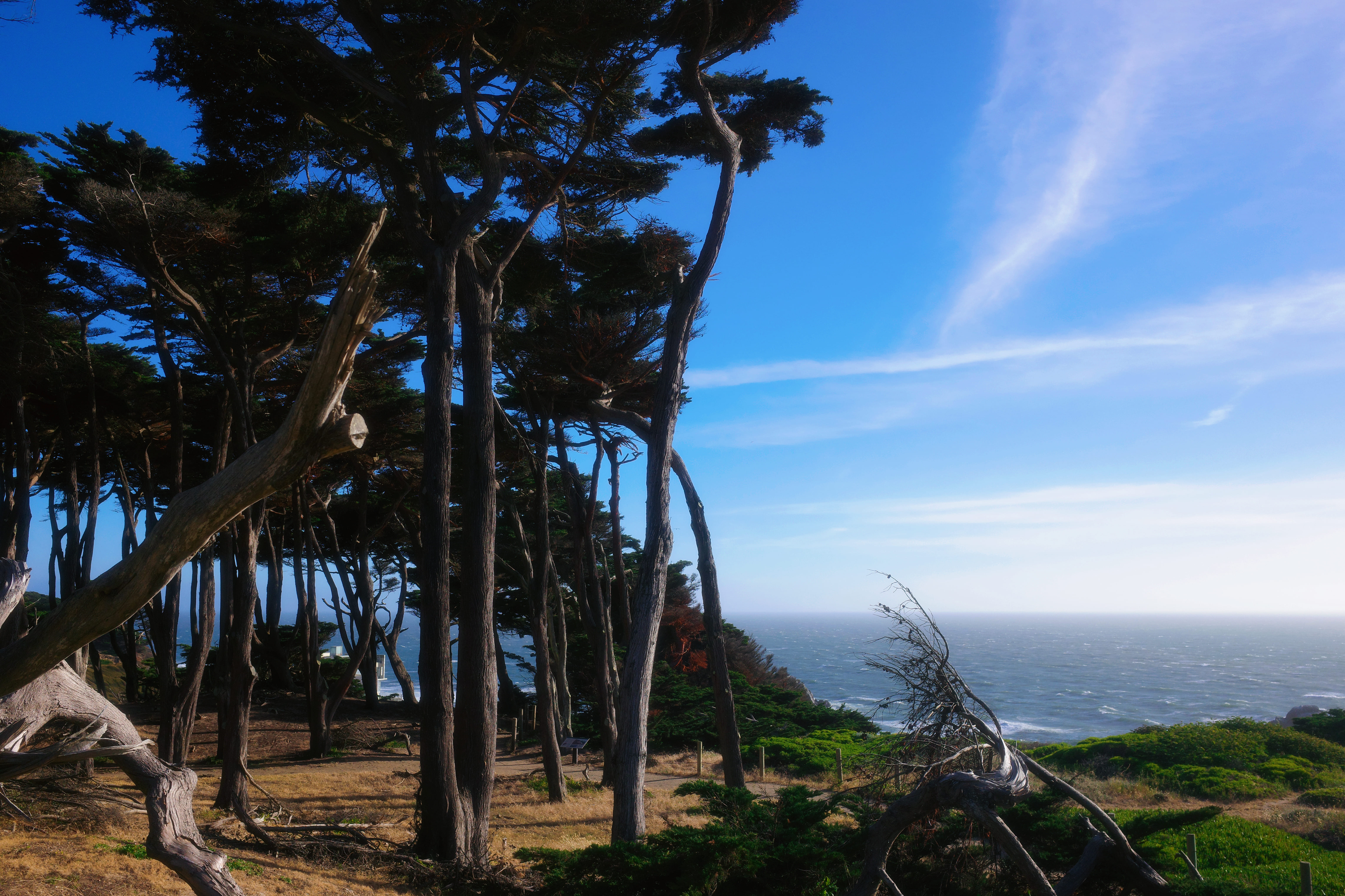 Lands End Trail 3
