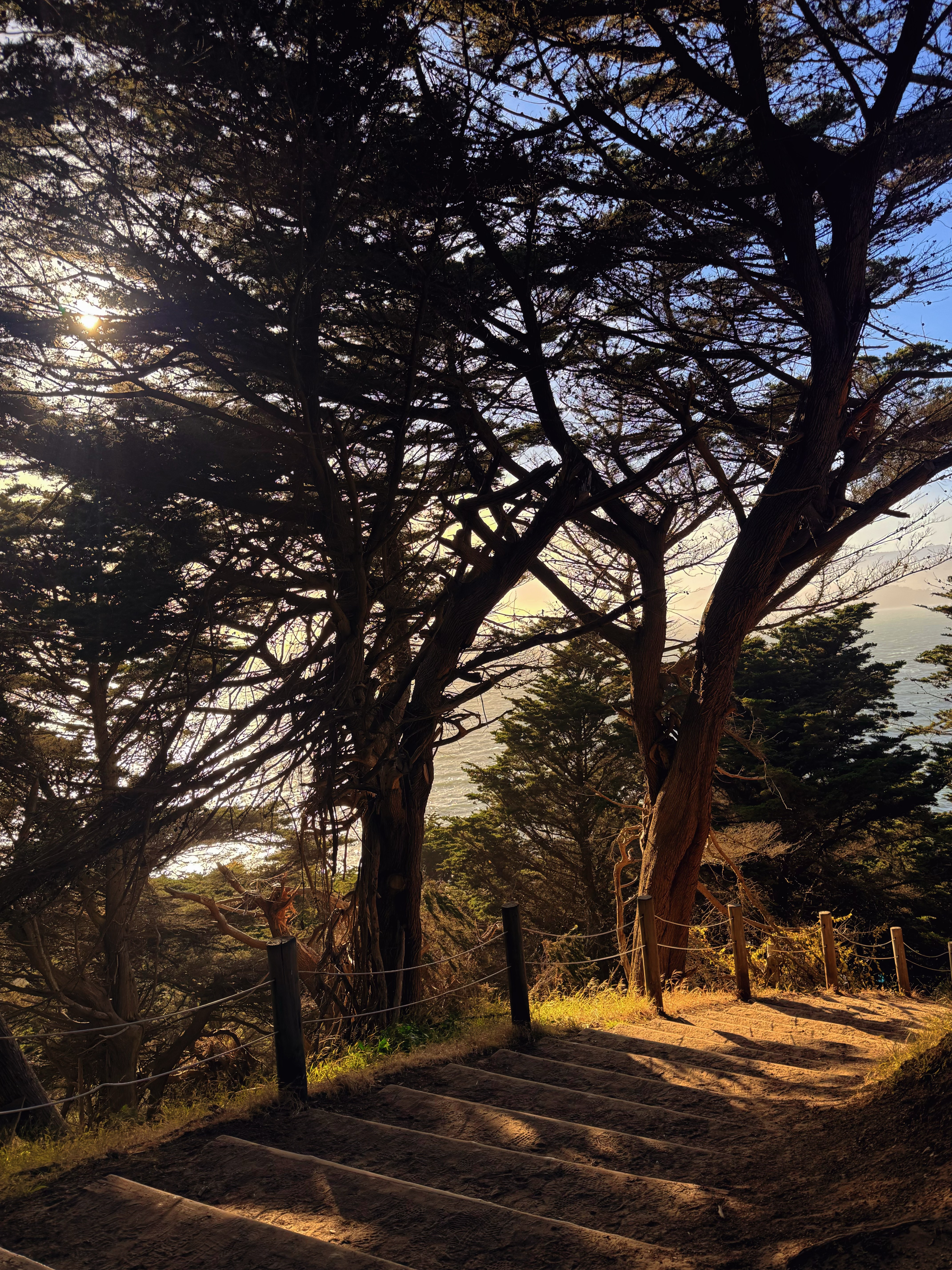 Lands End Trail 5