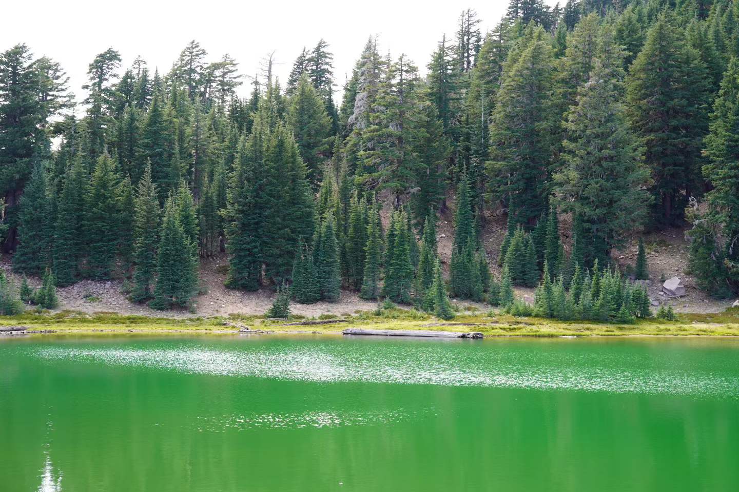 Lassen Volcanic National Park 11