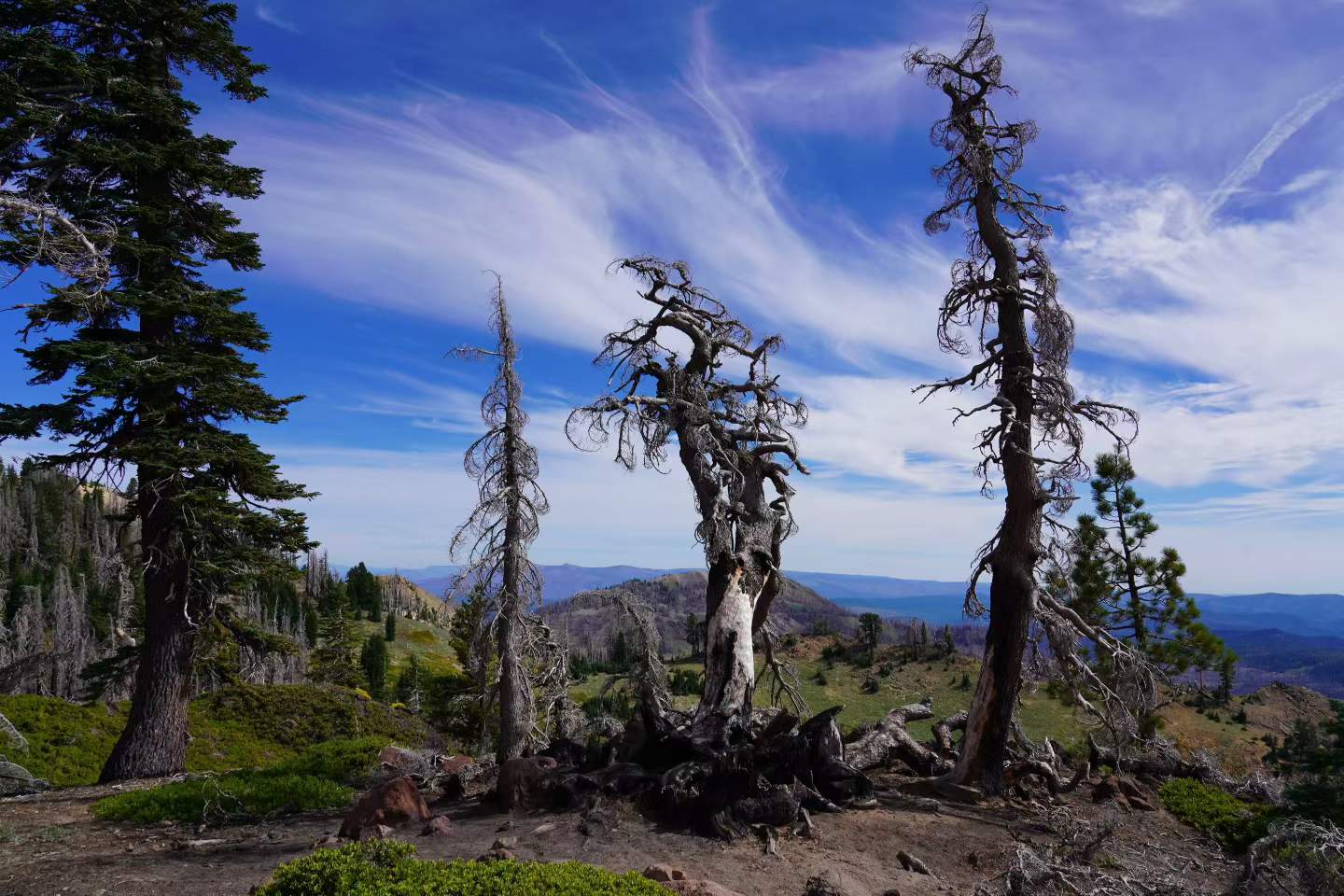 Lassen Volcanic National Park 14