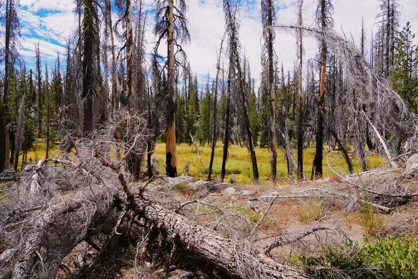 Lassen Volcanic National Park 24