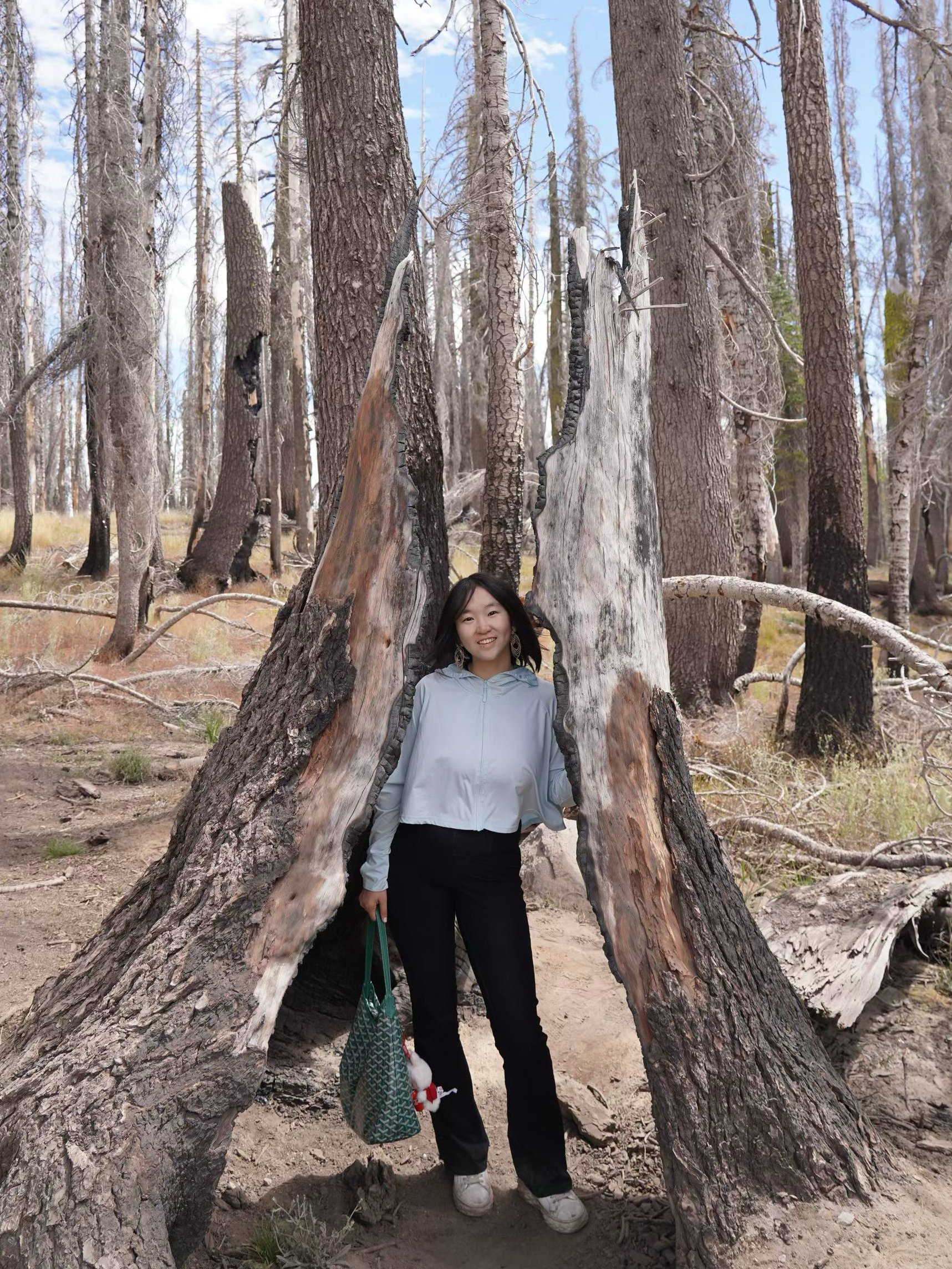 Lassen Volcanic National Park 25