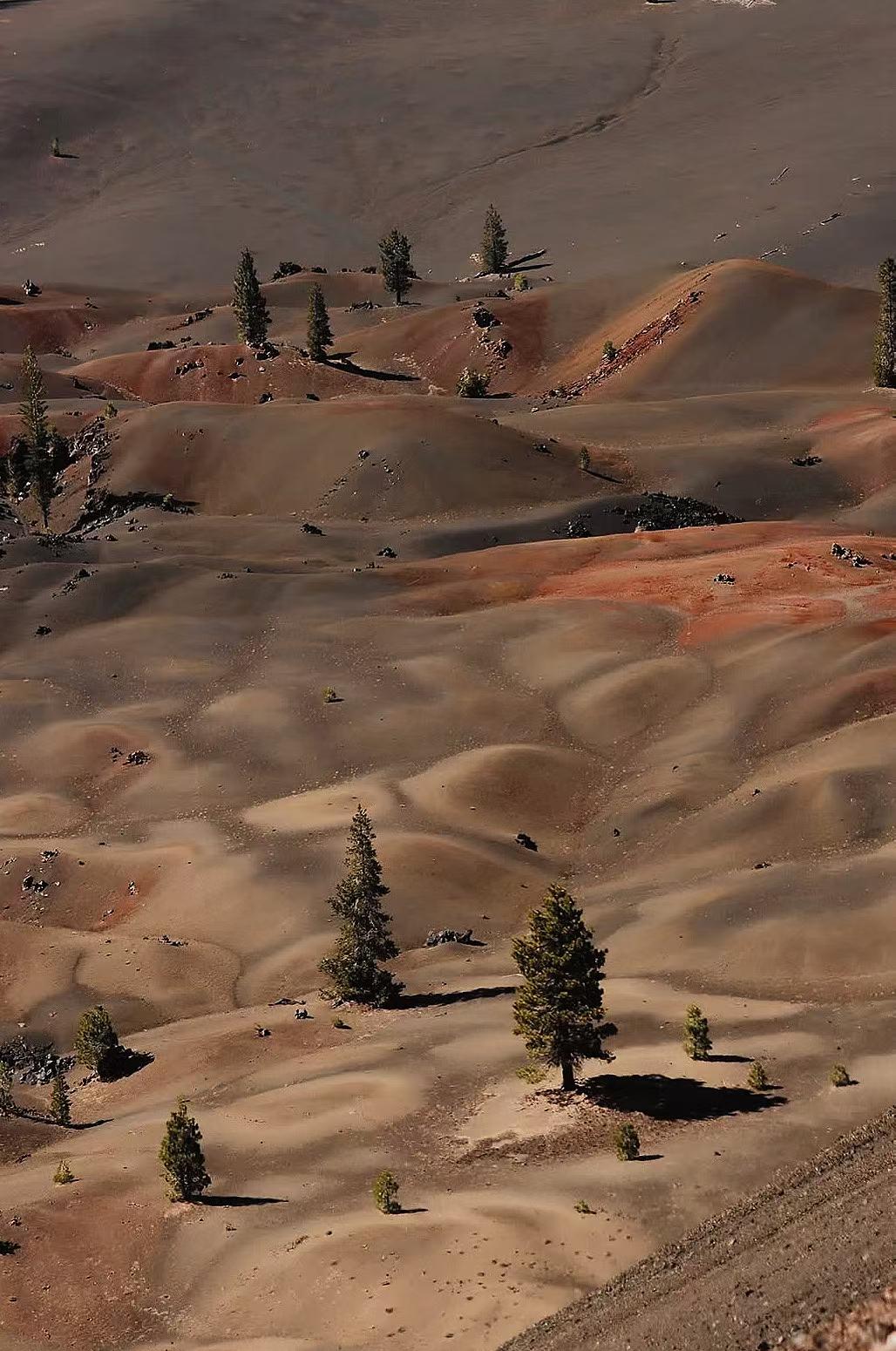 Lassen Volcanic National Park 28
