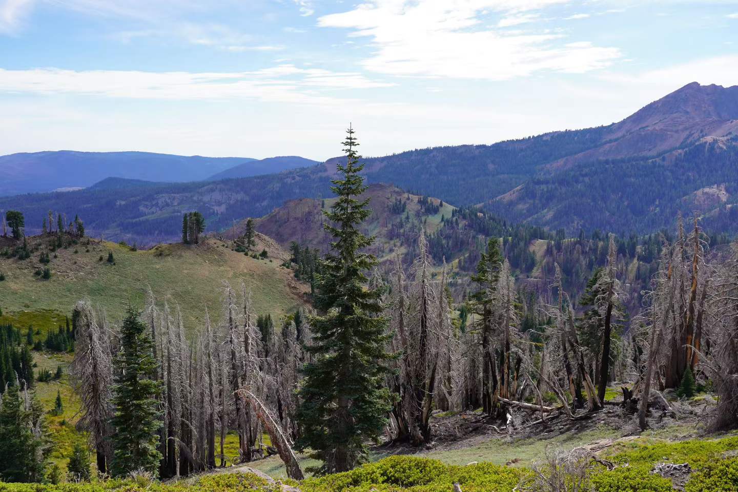 Lassen Volcanic National Park 3