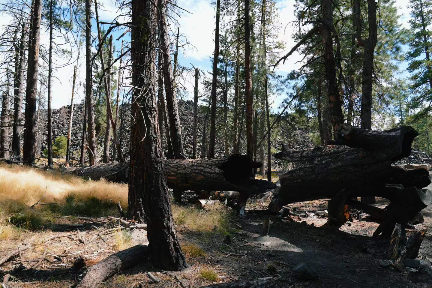 Lassen Volcanic National Park 32