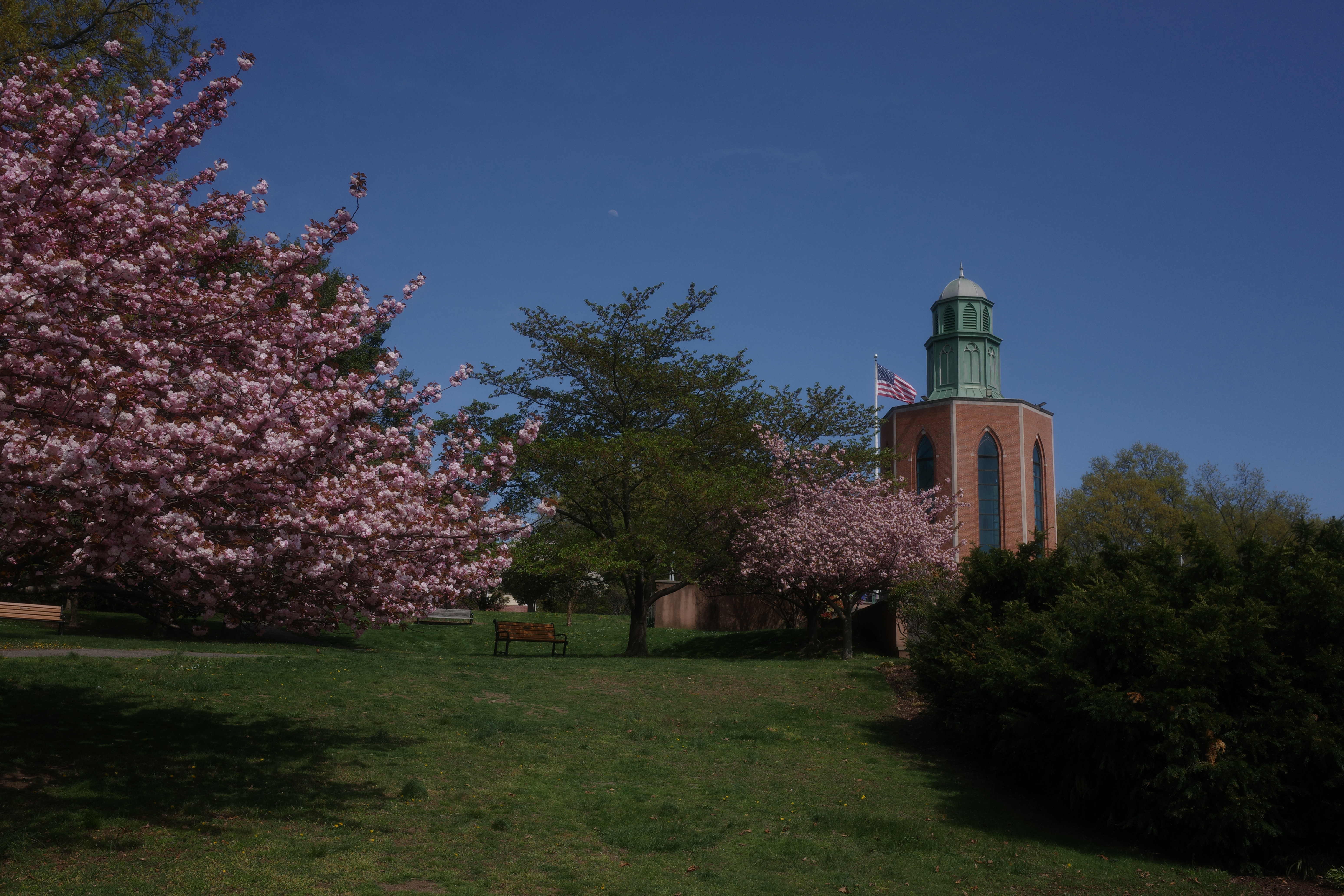 Spring in Long Island 1