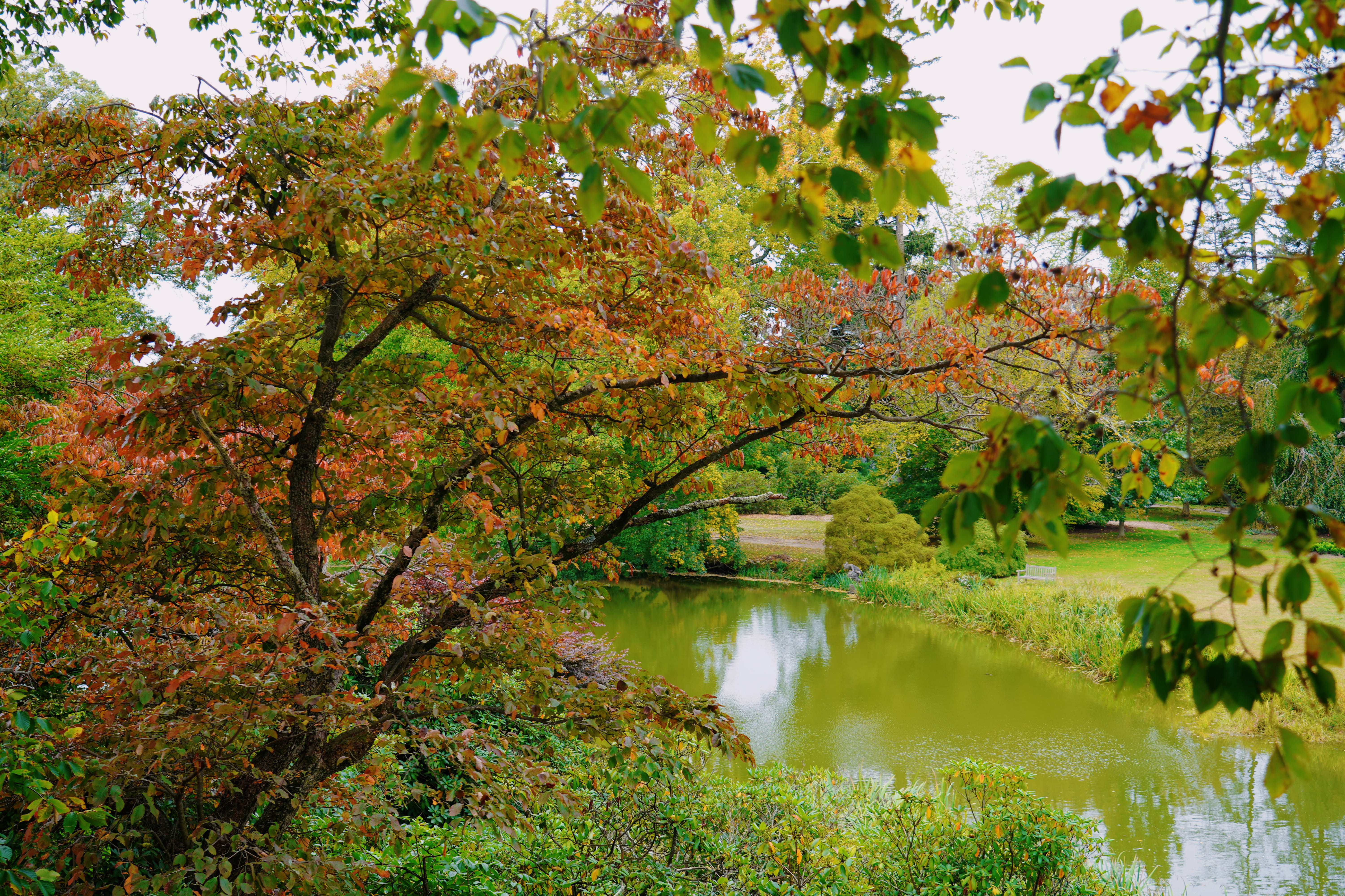 Long Island Corners 8