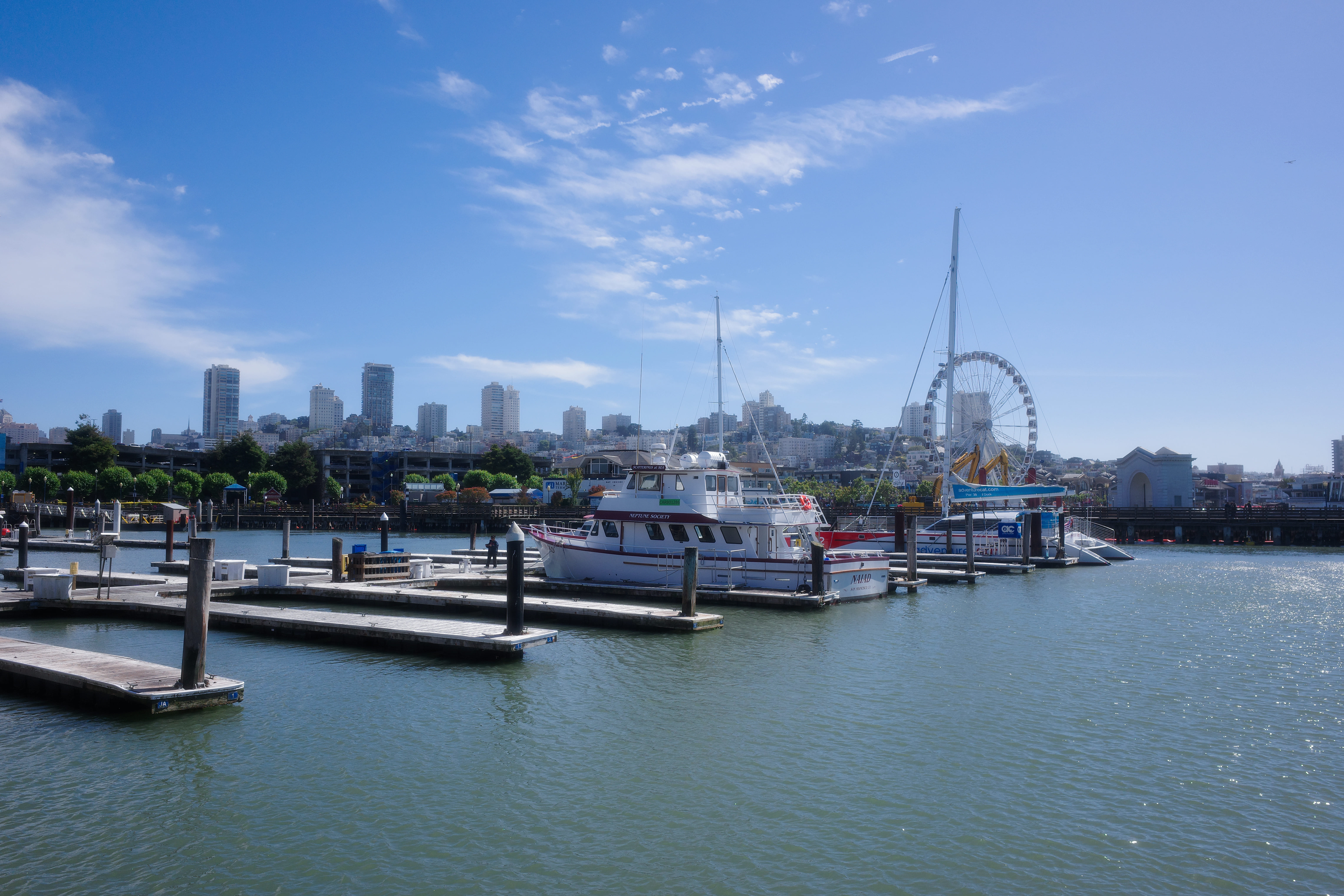 Pier 39 San Francisco 6