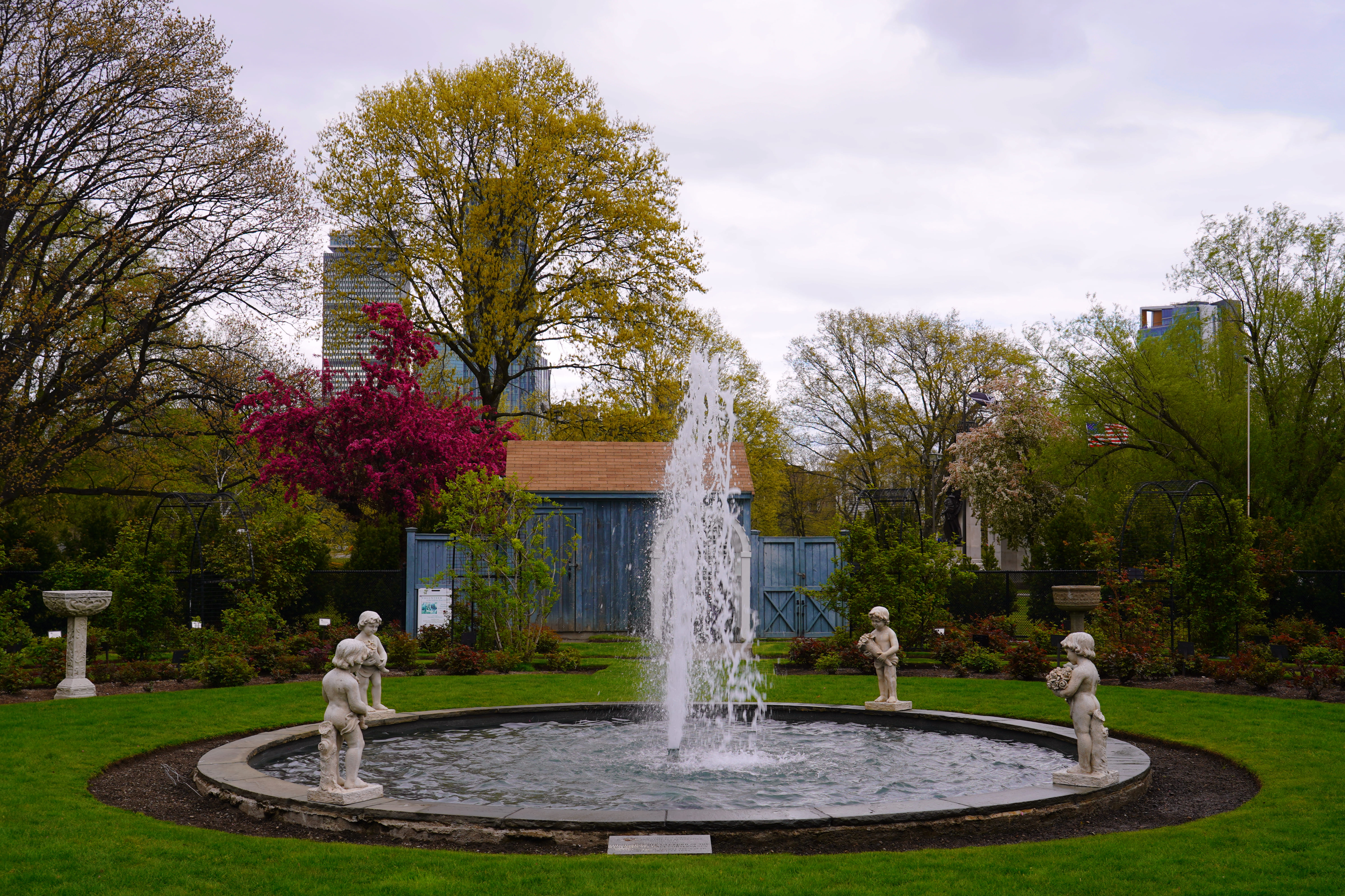 Rose Garden 4