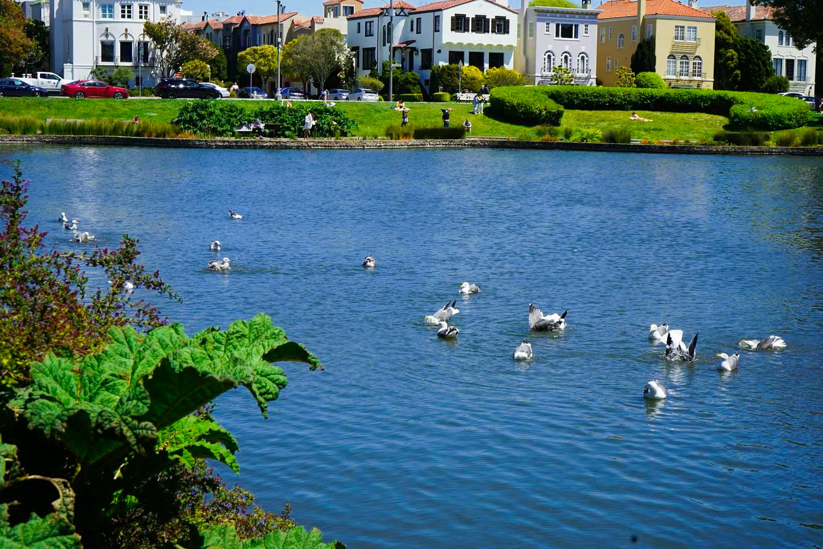 San Francisco Dusk 4