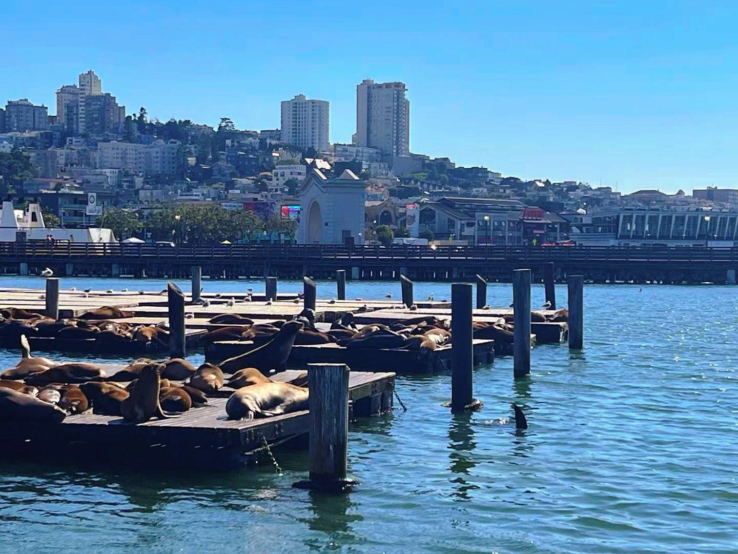 San Francisco Dusk 7