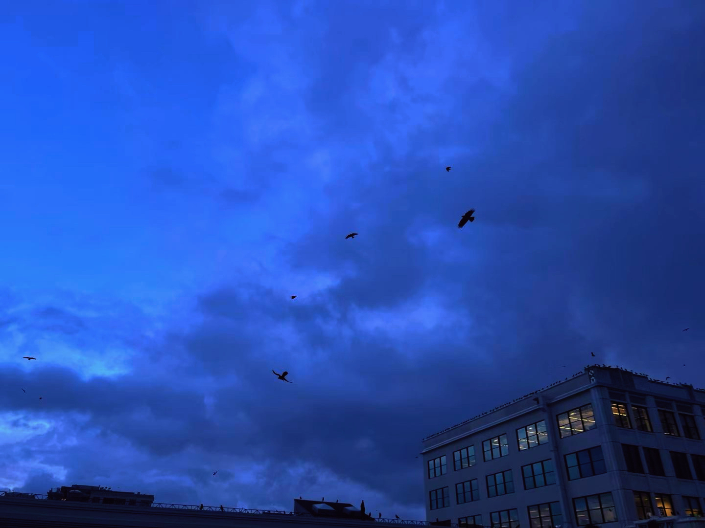 San Francisco Dusk 8