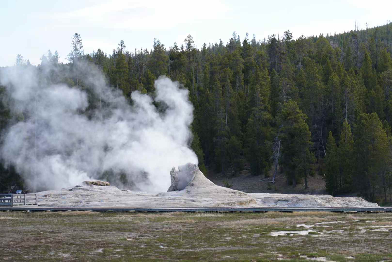 Yellowstone 11